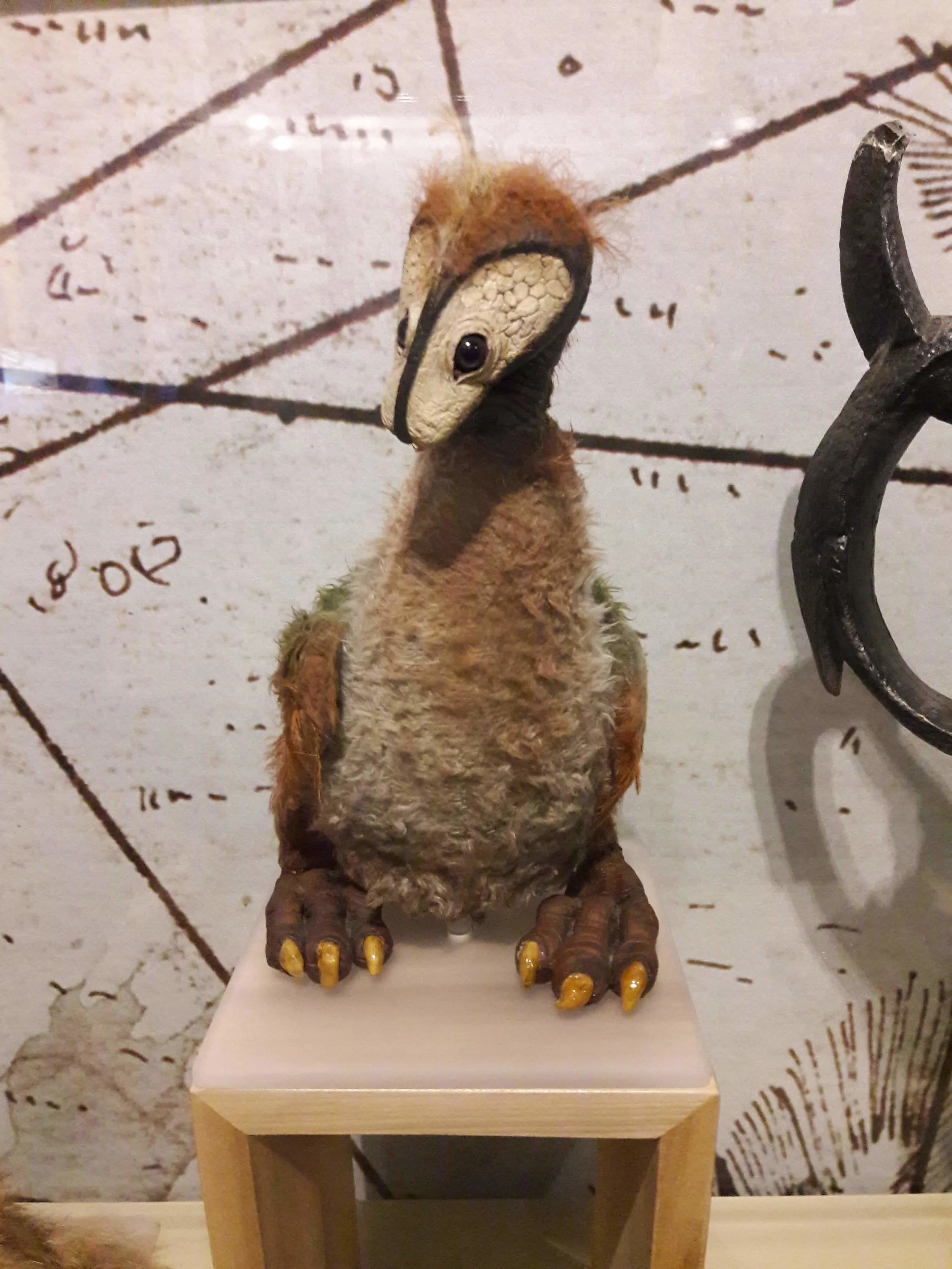 20181130_141430.jpg