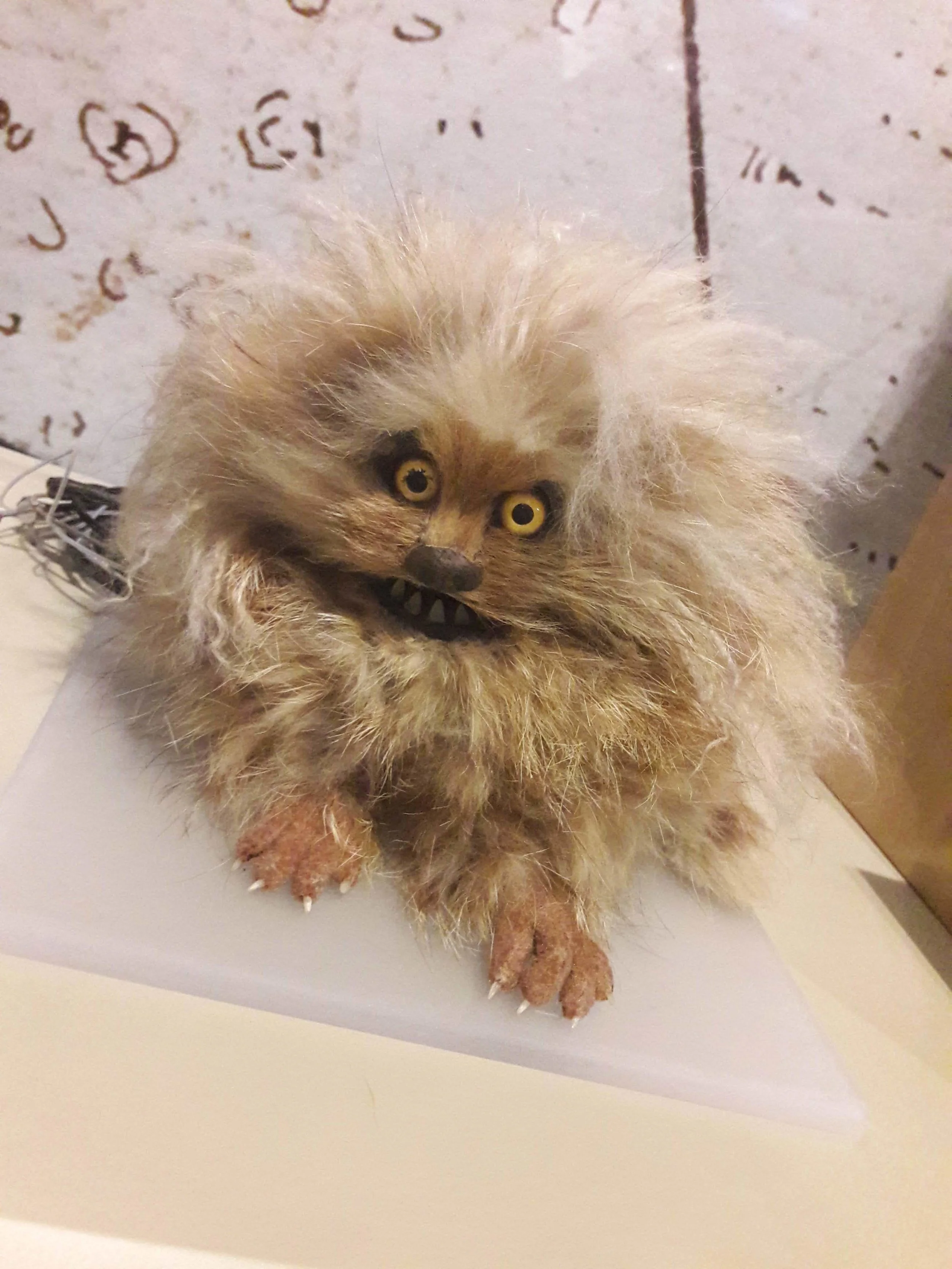 20181130_141422.jpg