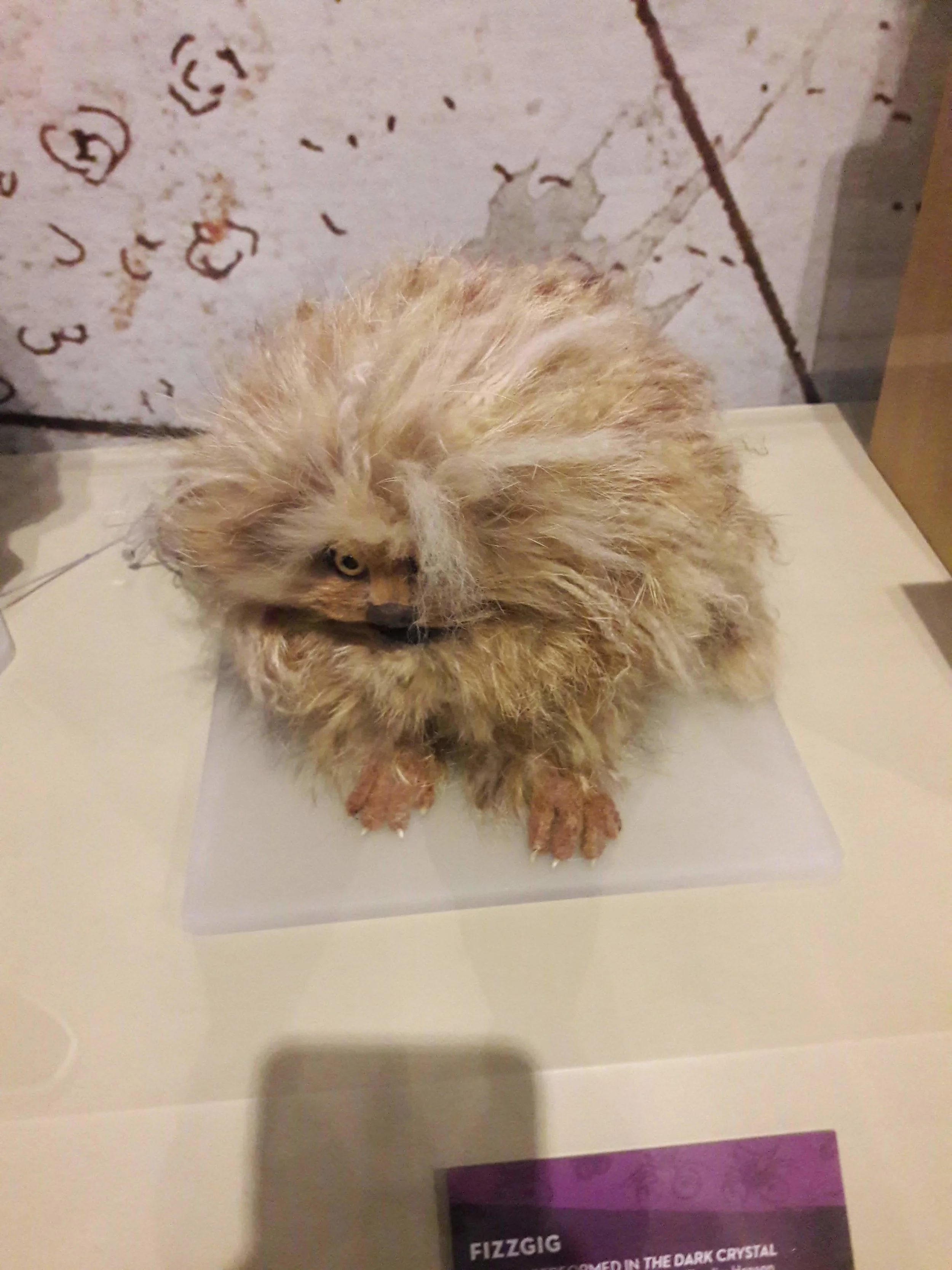 20181130_141418.jpg