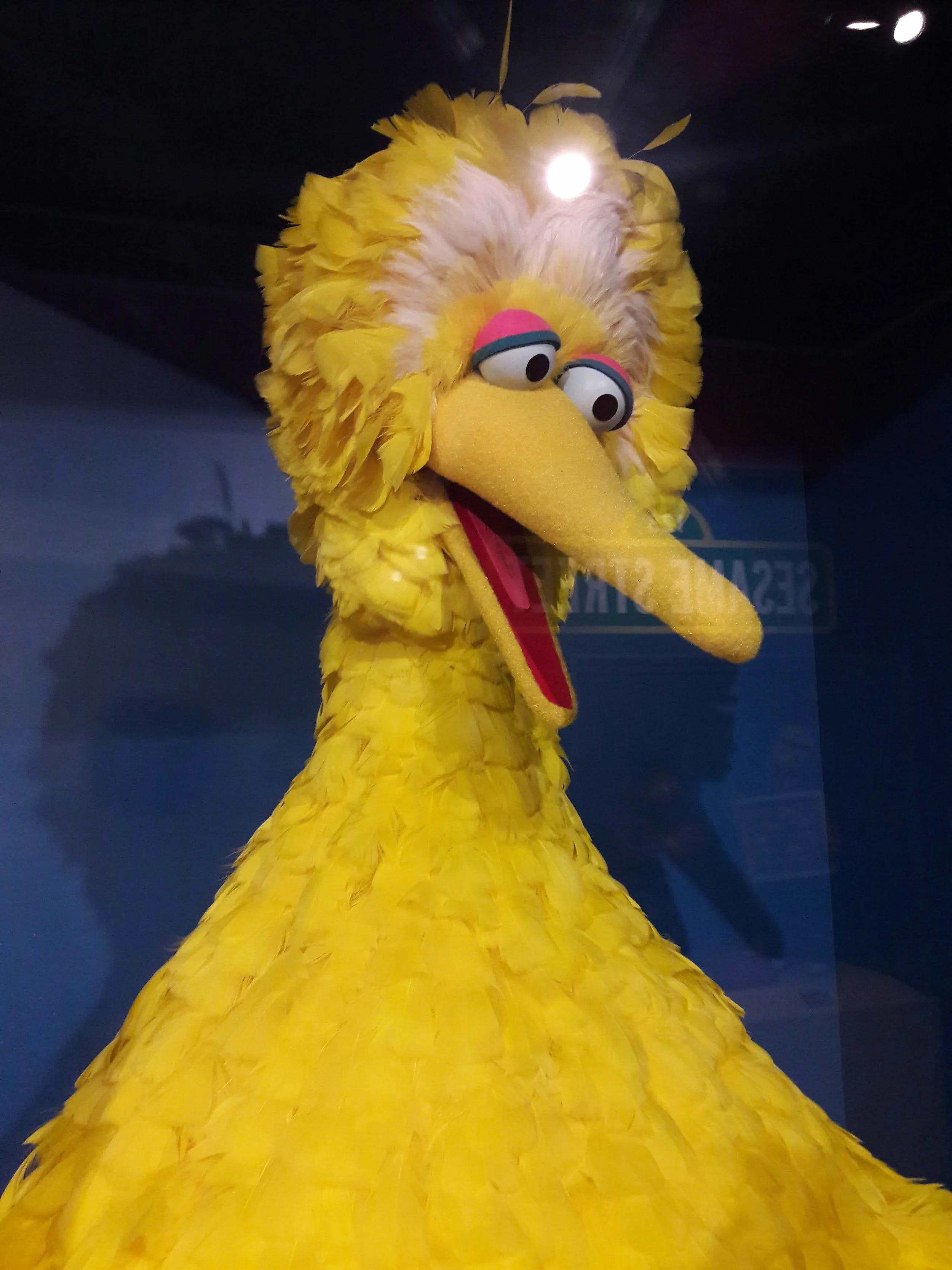 20181130_132918.jpg