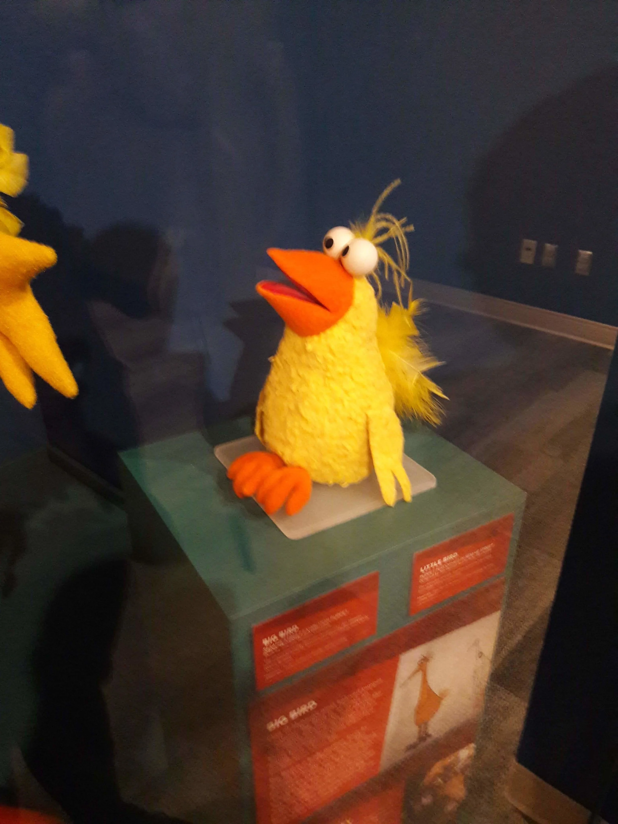 20181130_132914.jpg