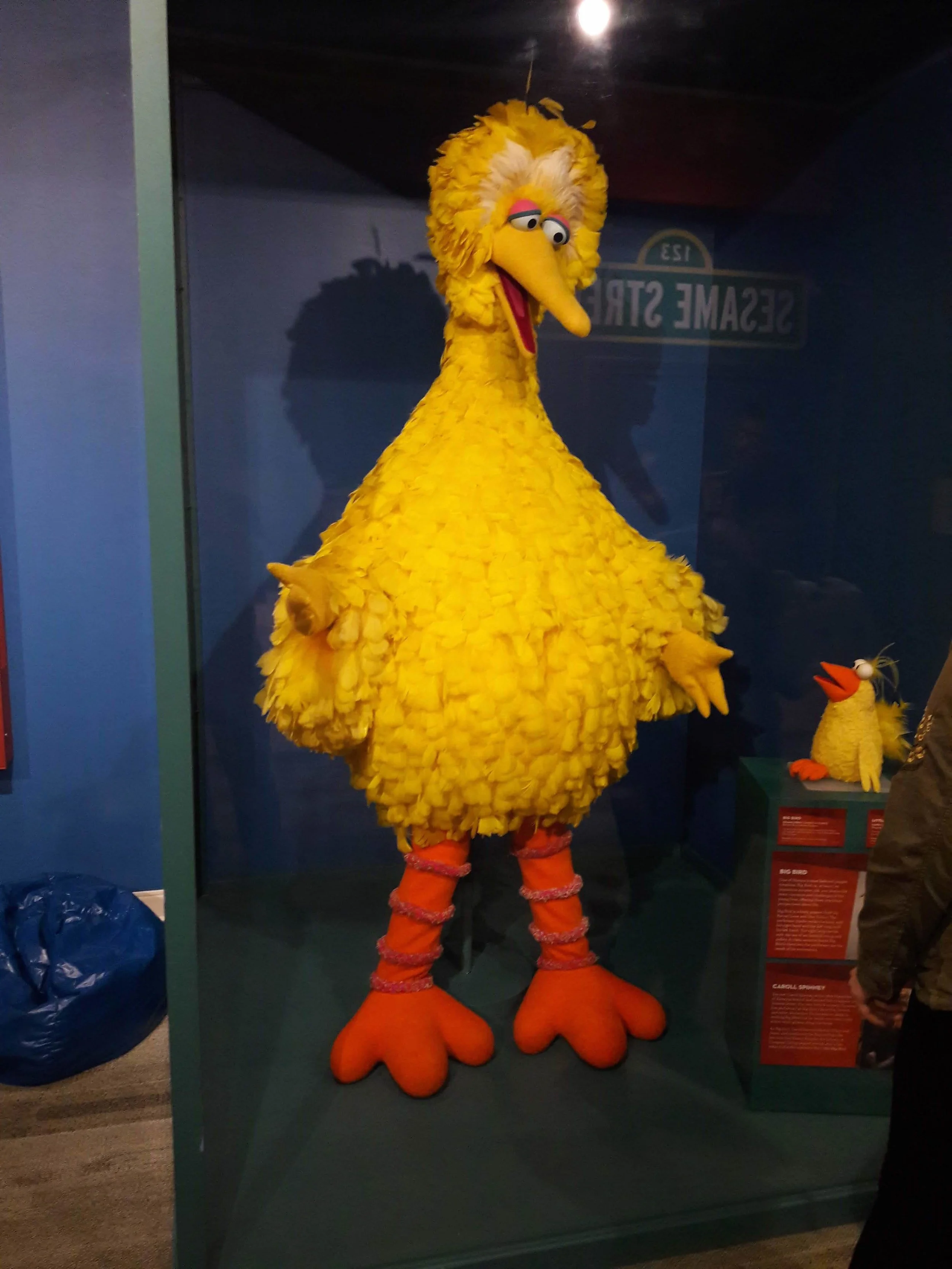 20181130_132909.jpg