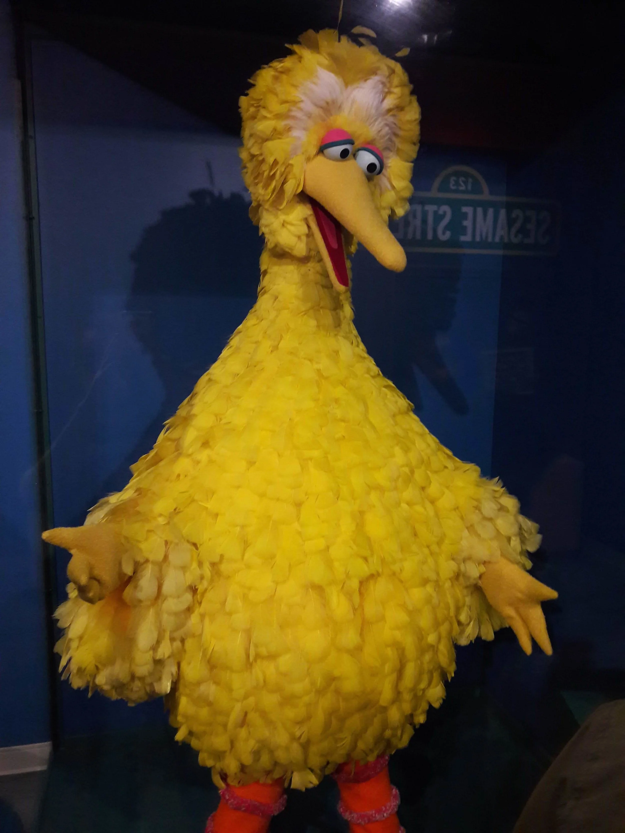 20181130_132905.jpg