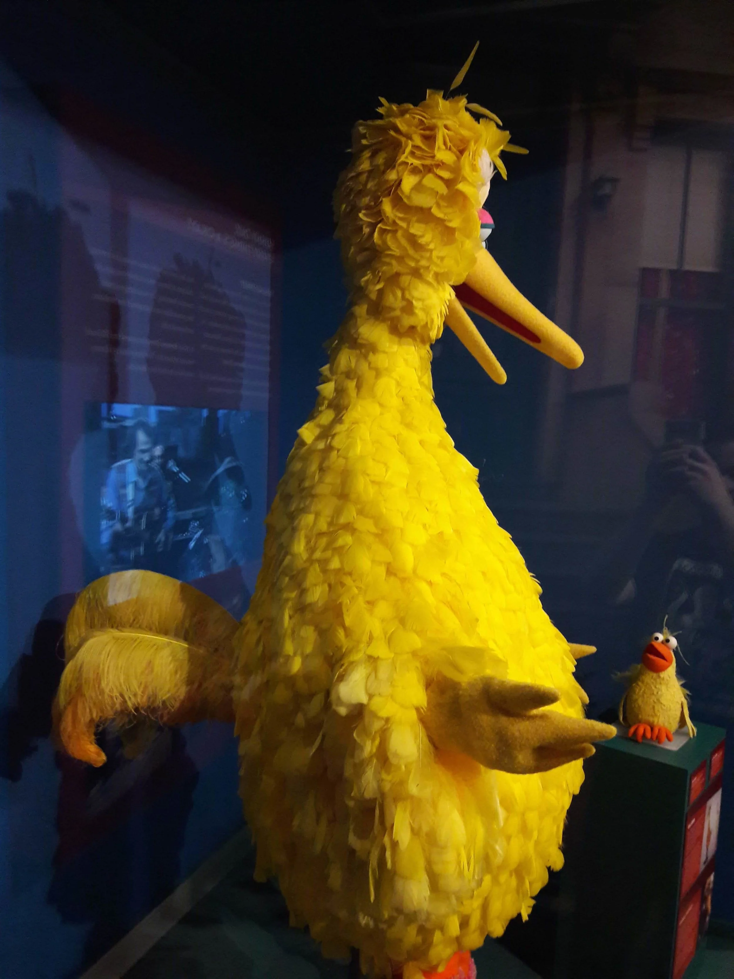 20181130_132855.jpg