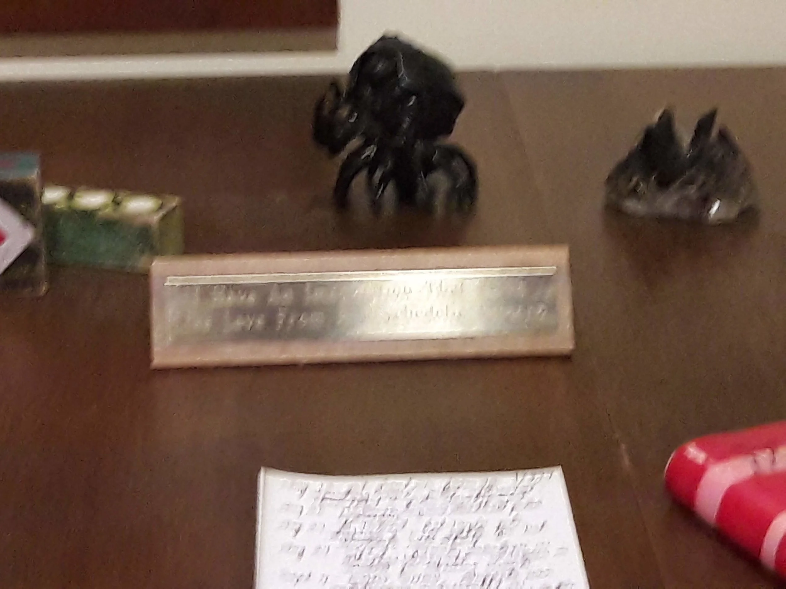 20181130_131205.jpg