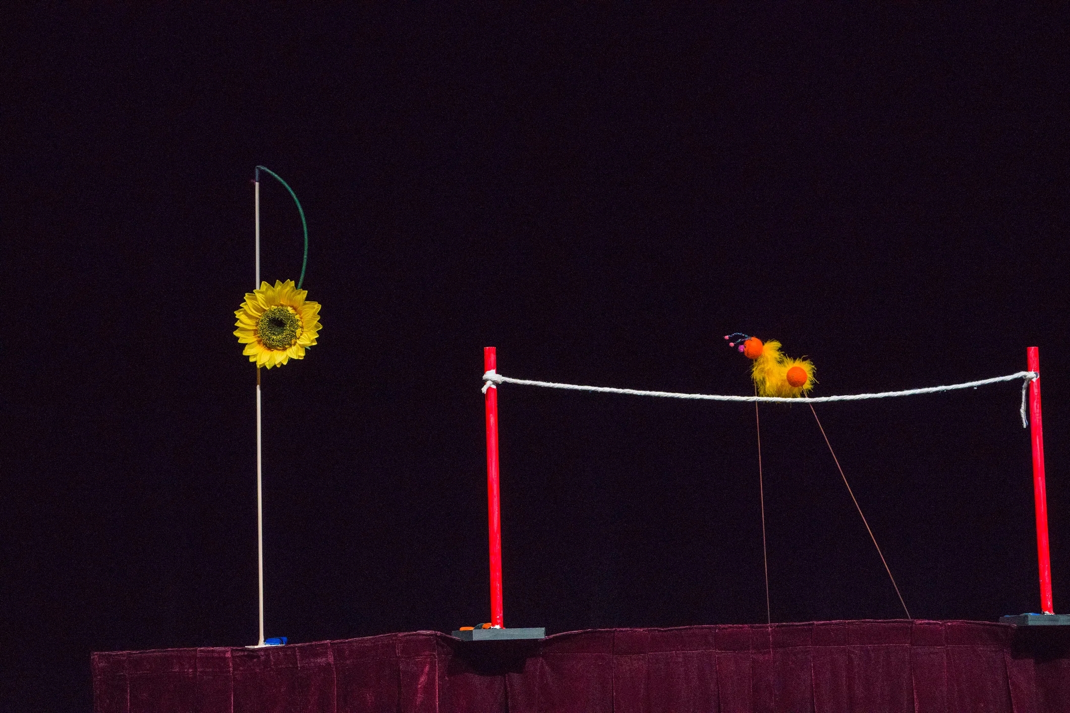 Caterpillar Circus - Piece created for Creventive Puppet Company's upcoming "Hands &amp; Strings: Puppet Variety Show".