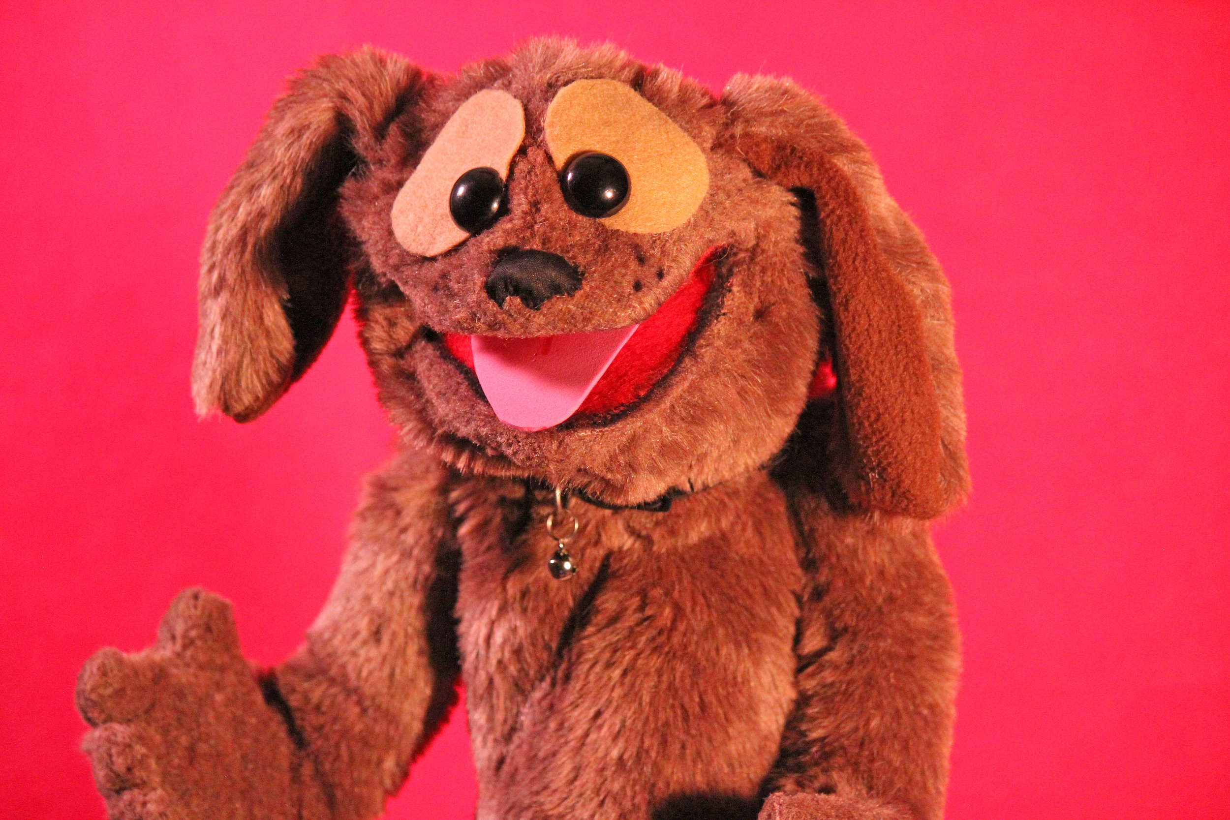 Dog Hand/Rod Puppet - Rental for Commercial/film/tv/stage