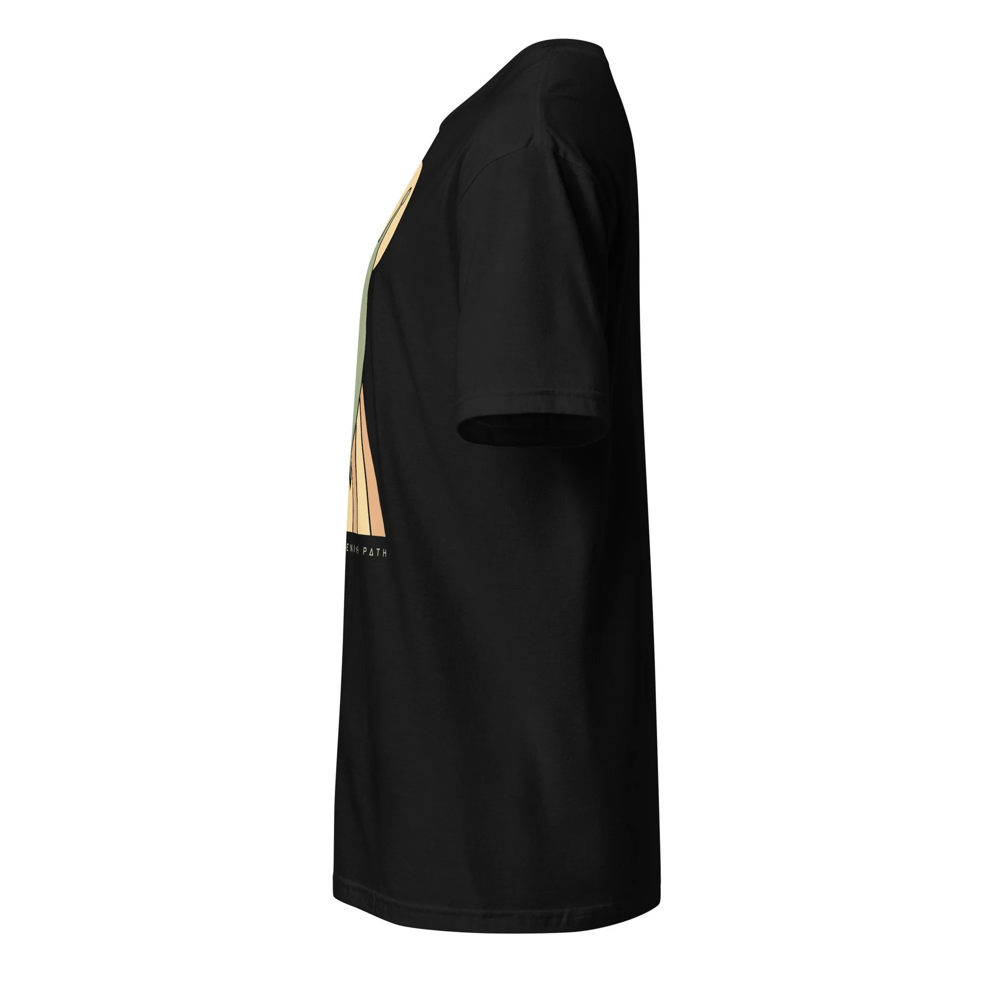 unisex-basic-softstyle-t-shirt-black-left-6ad1bfe16eeb9.jpg