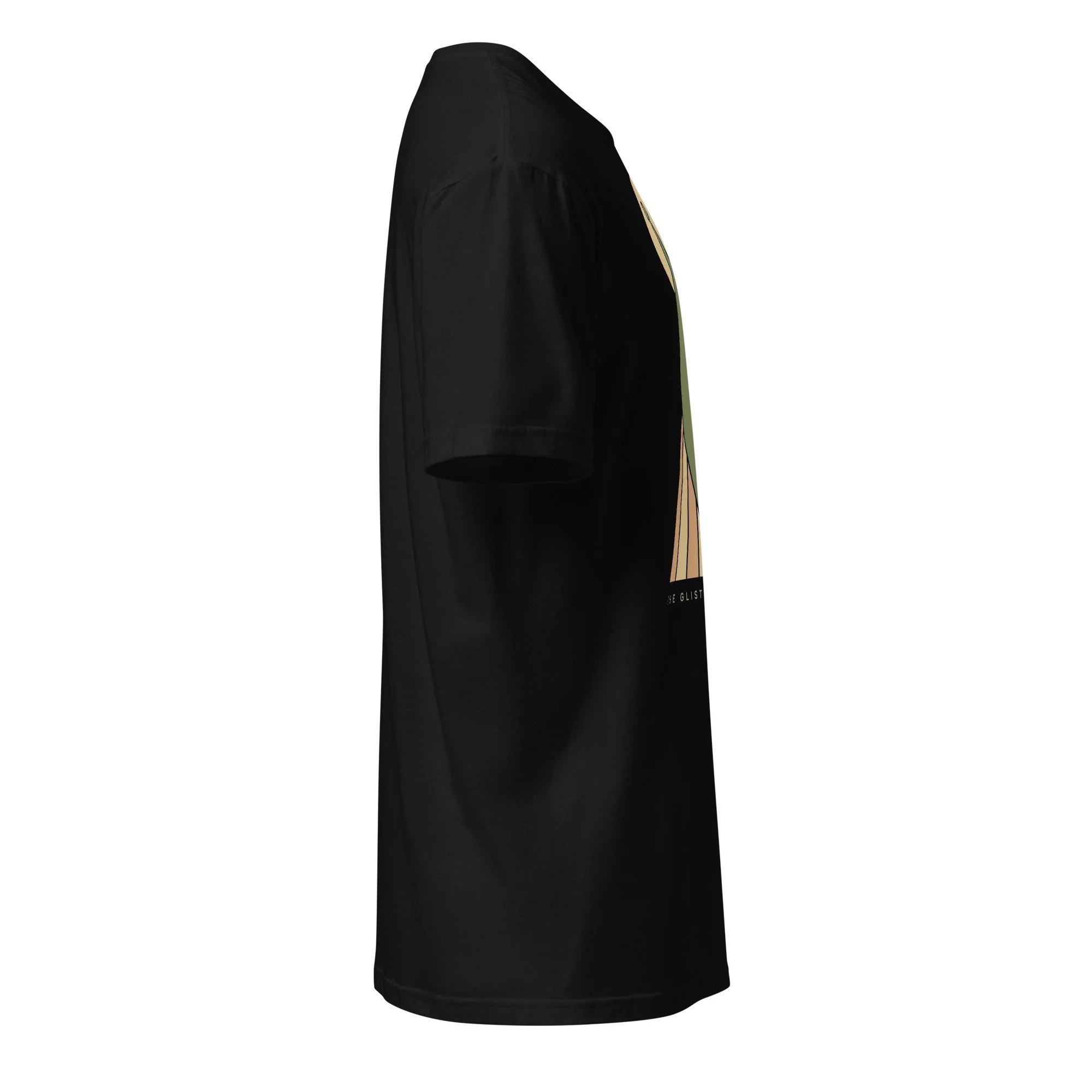 unisex-basic-softstyle-t-shirt-black-right-6ad1bfe16f080.jpg