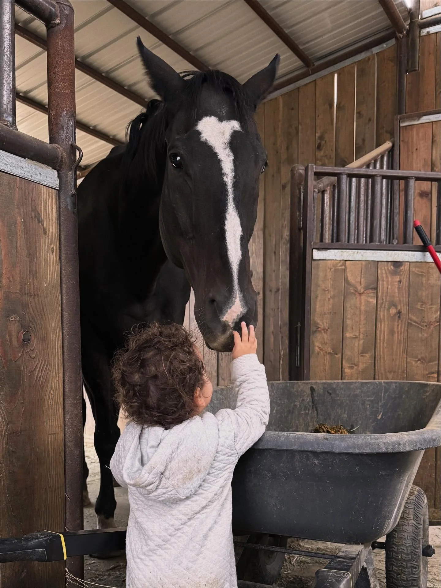 Our students and horses need a herd hero🐎

Week three of our &ldquo;Little Shepherds&rdquo; program trial, and these littles are already showing so much heart and grit!! We are stewarding the next generation of capable, compassionate leaders and we 