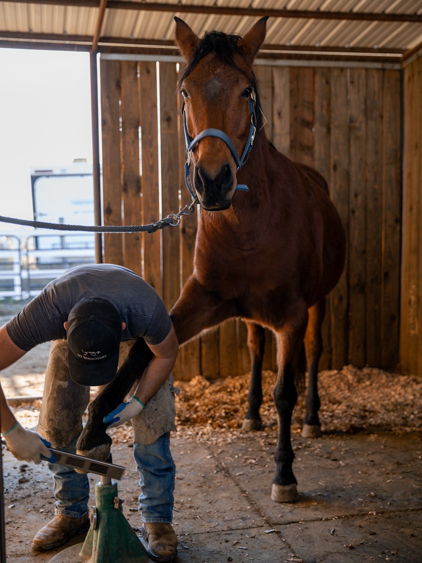 A little pre-Christmas pampering for the herd💅🏽

We have a new farrier team this is really helping the herd along in their hoof health! I&rsquo;m really glad to see so much improvement over the last couple of sessions. The best part is feeling like
