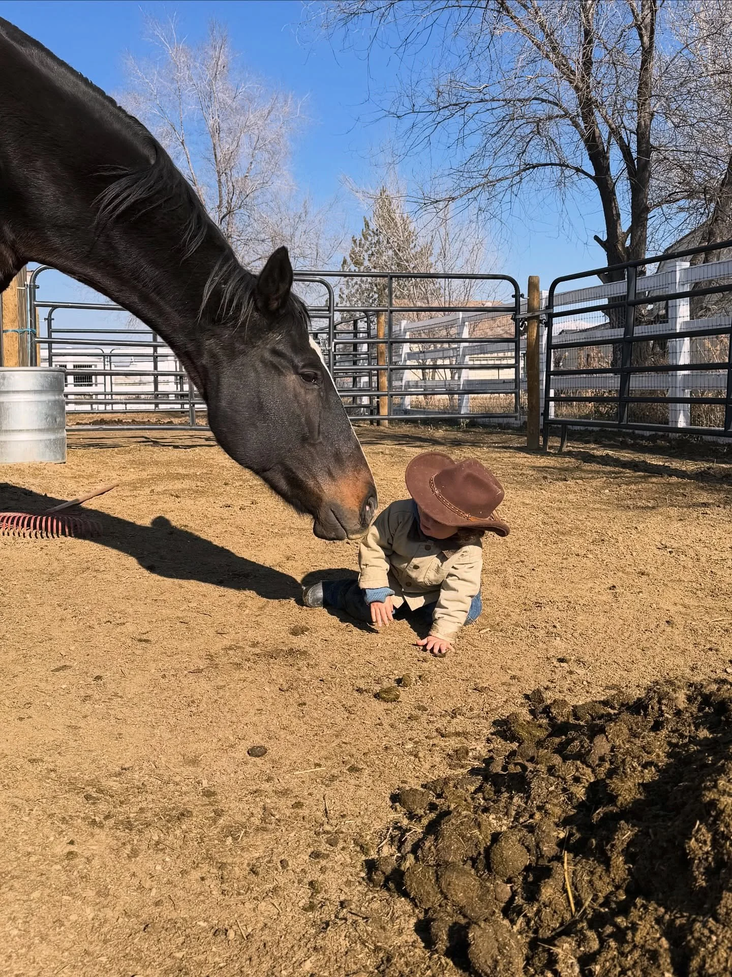The last week💕 The sanctuary is peaceful and quiet this winter. We have so much planned and waiting to roll out, rest is critical to making it all happen. In that rest, though, is a lot of thoughtful planning and intentional learning. Lots of buildi