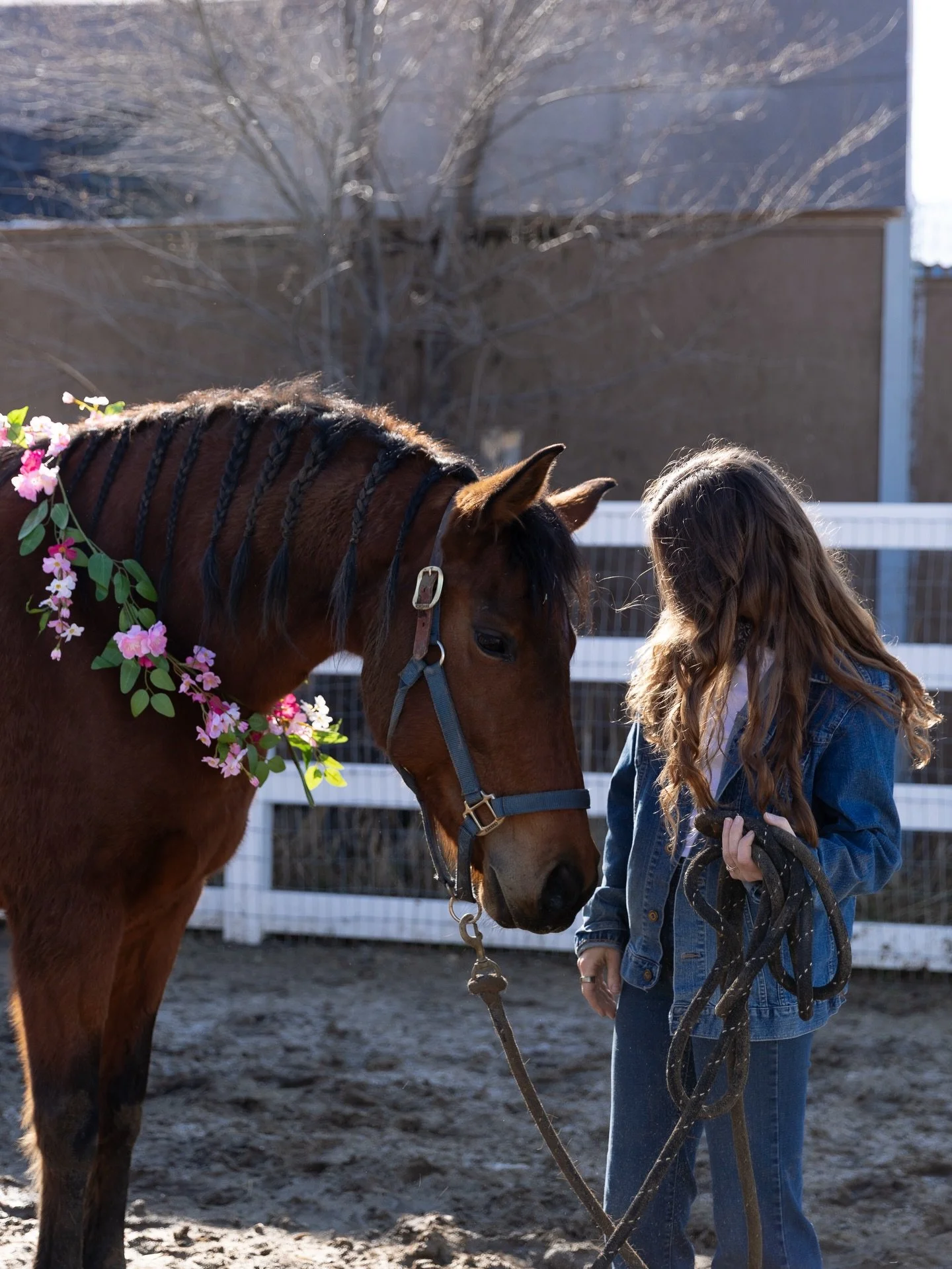 Some pictures of the first ever event at The HNH Sanctuary💕 We felt so blessed to have a little over 20 people join us for pancakes, ponies and community! There is nothing sweeter than seeing strangers become friends and even hear adults laughing ov