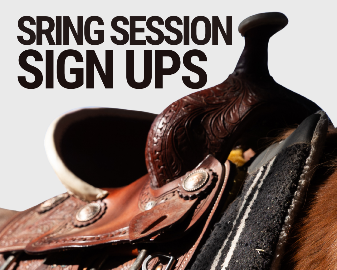 Spring Horsemanship Sessions Sign-Up Window