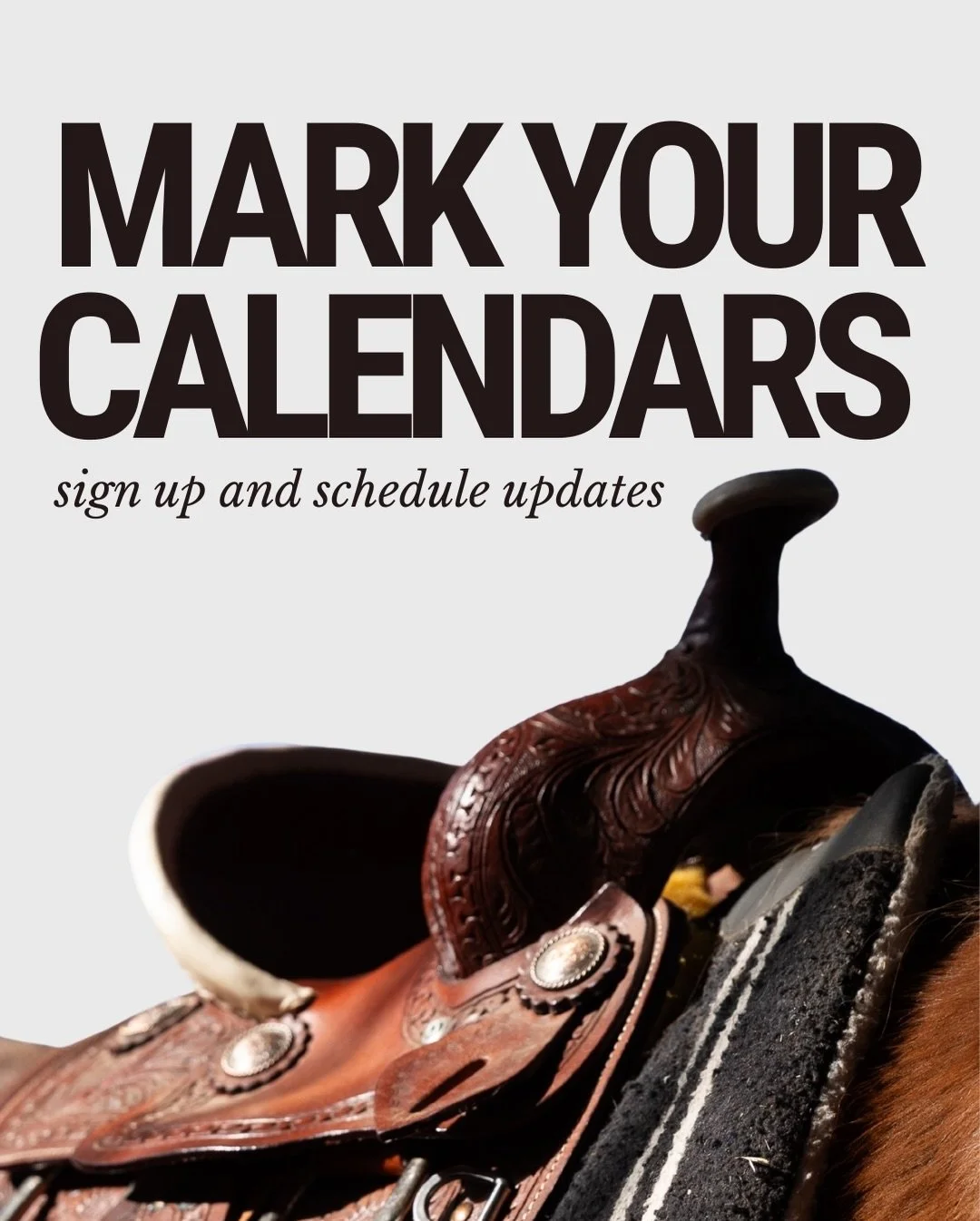 Updates to our sign up windows and session dates🐎

We are so proud and excited about the horseman lessons rolling out. Our mission to make HNH a center of empathetic stewardship for rescued horses but also a space to encourage the next generation to