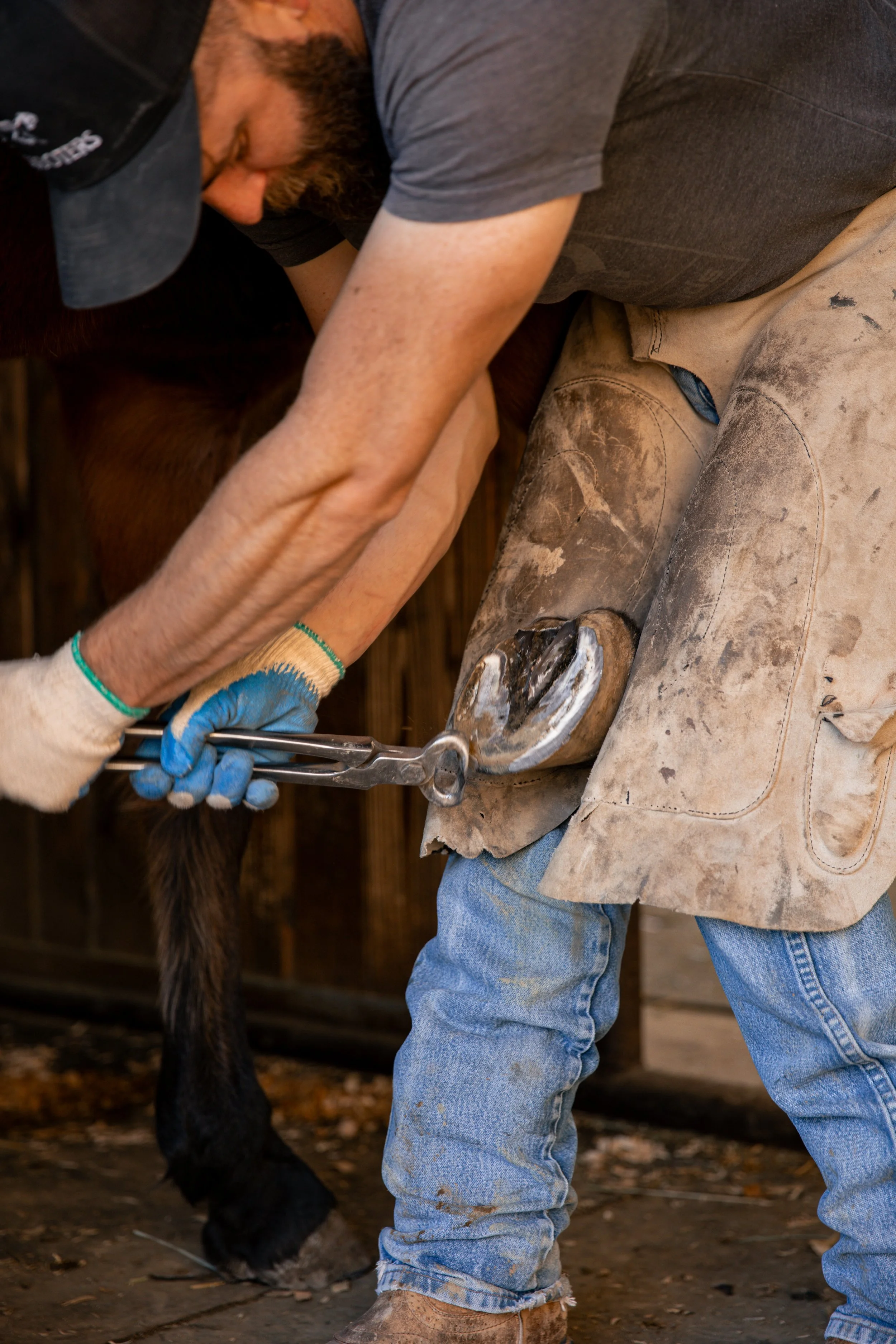 Sponsor A Trim (Once or Monthly)