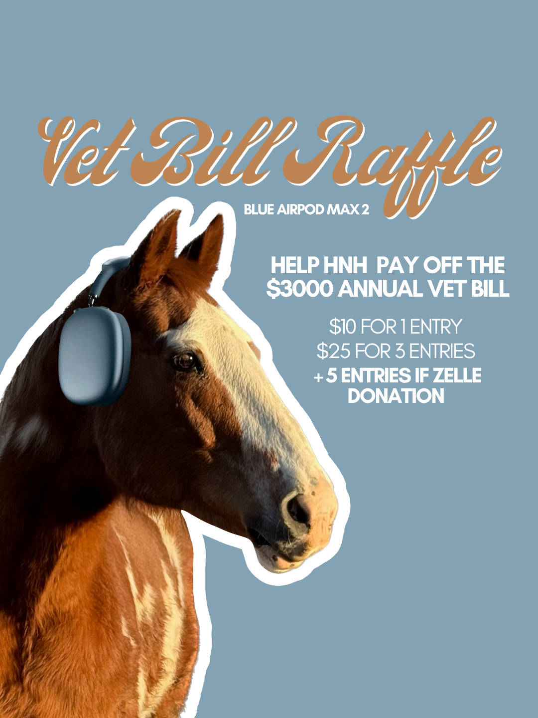 Vet Bill Raffle Entries