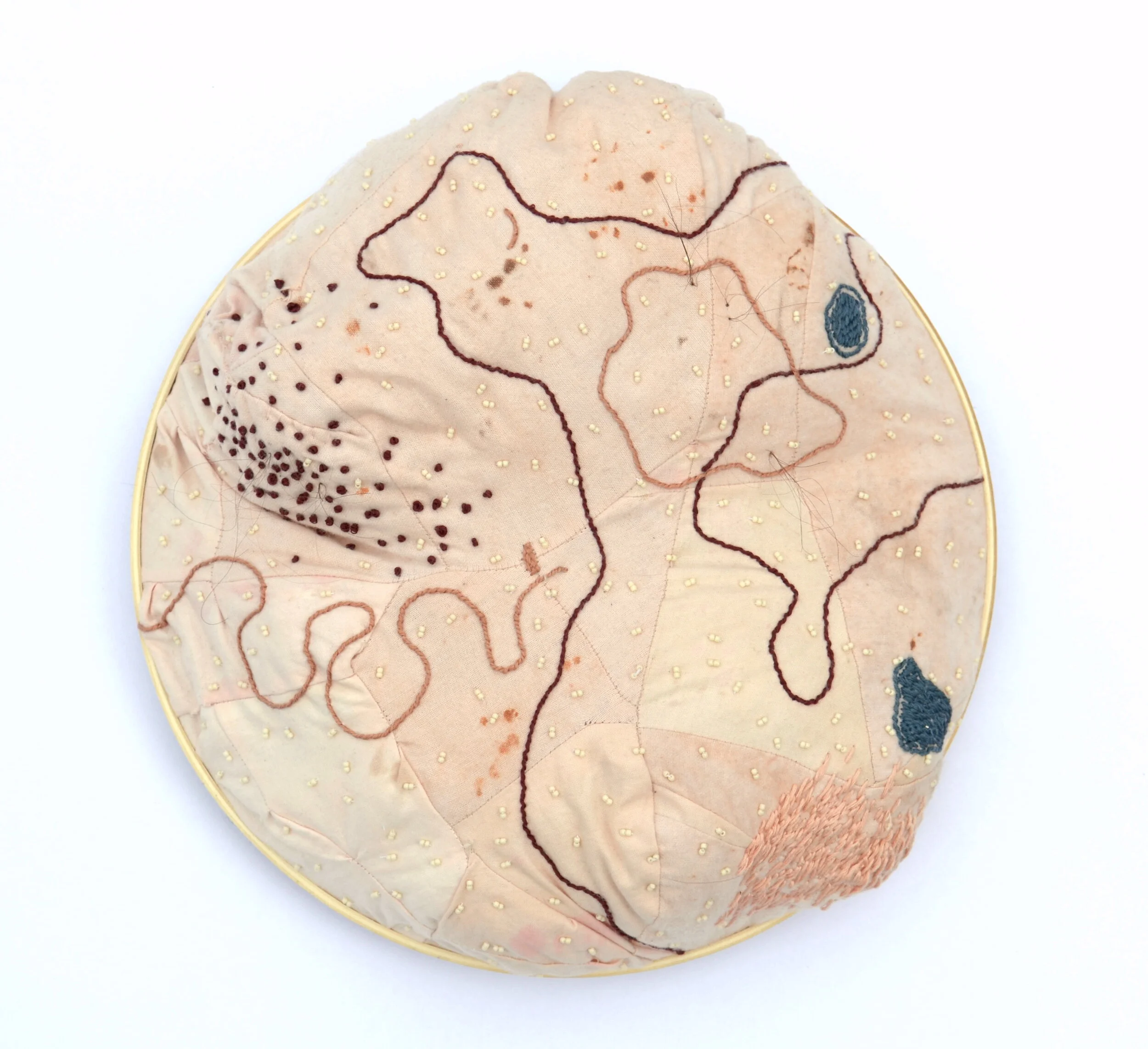Golgi Body