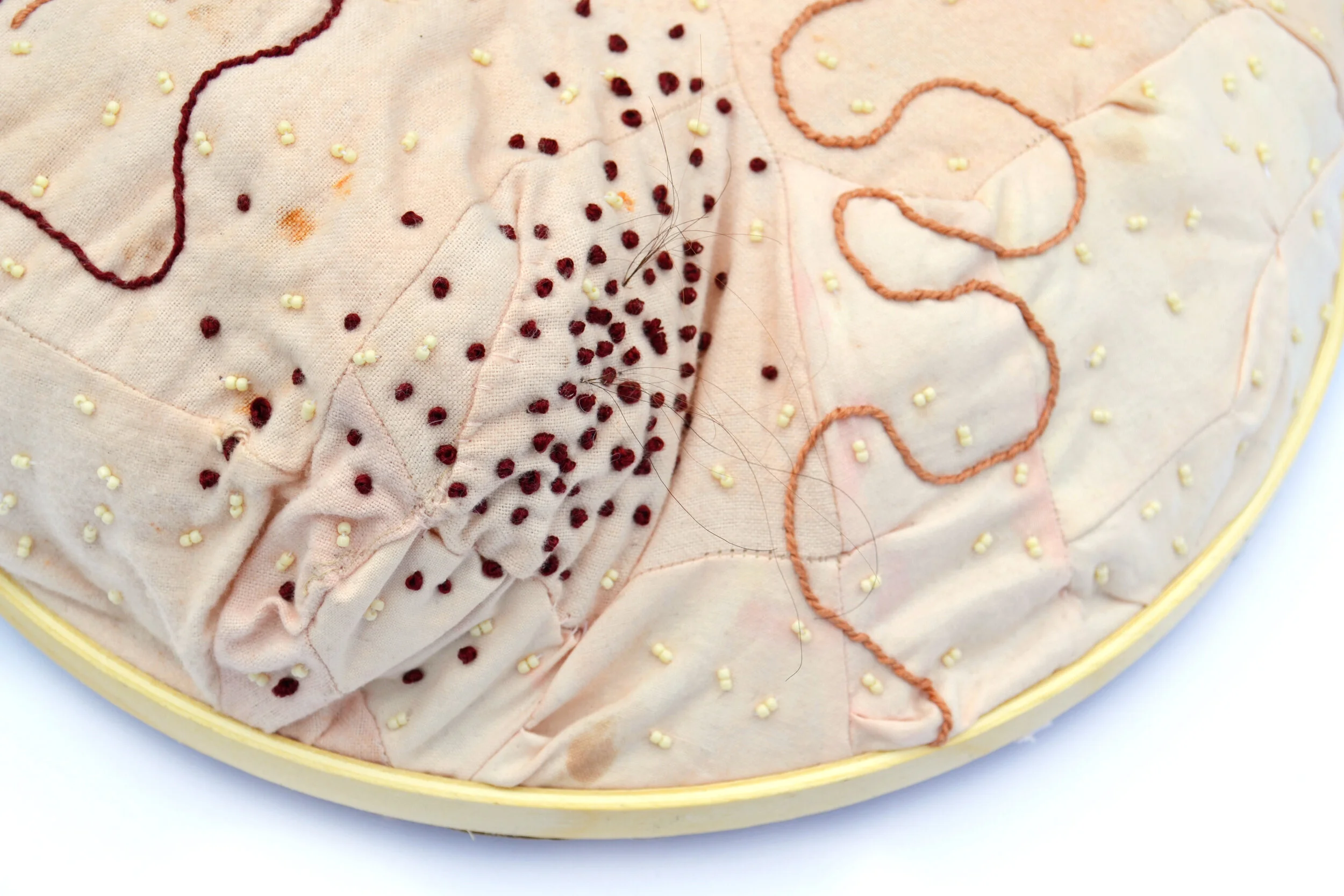 Golgi Body