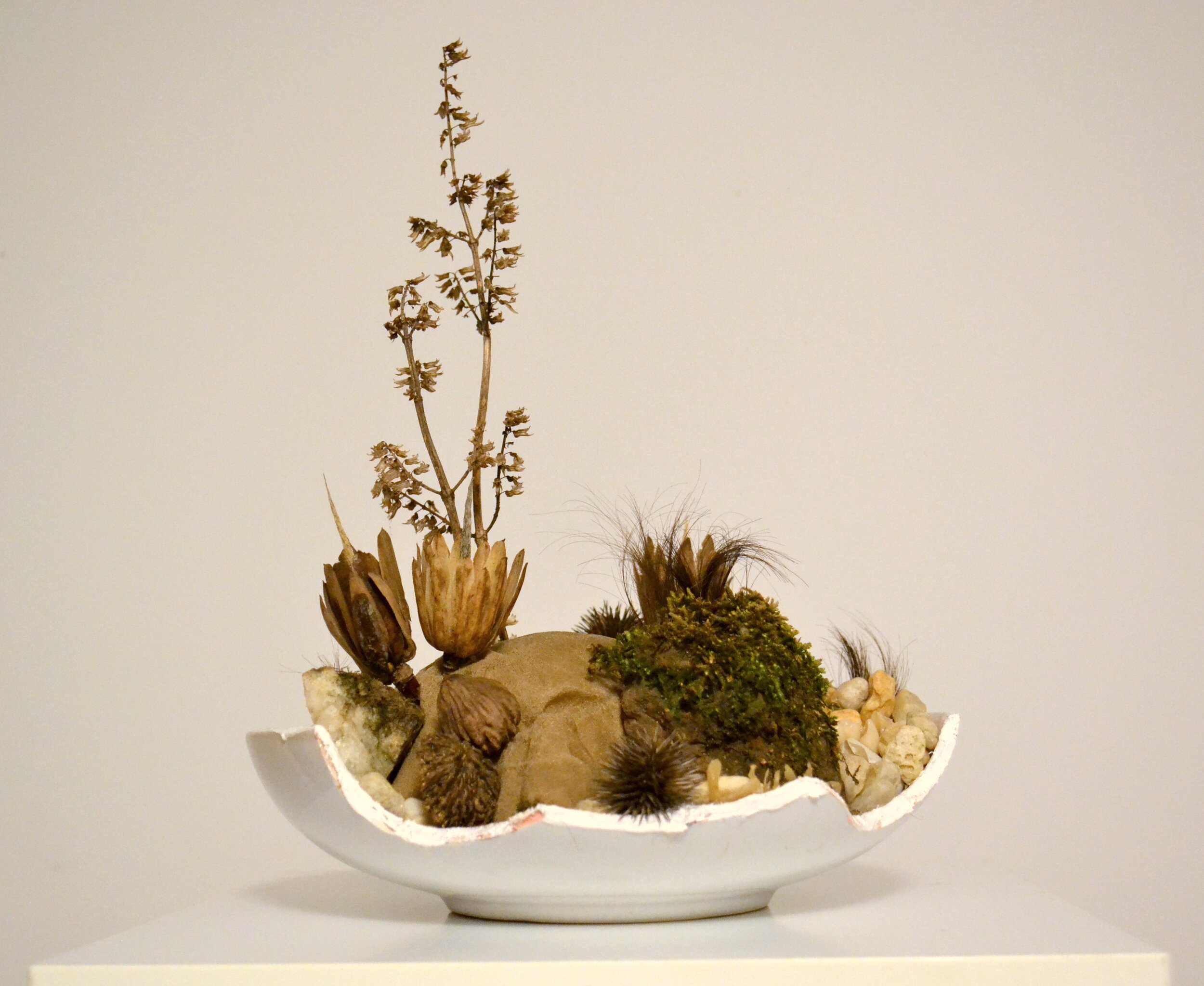 Secondary Cultivations part one