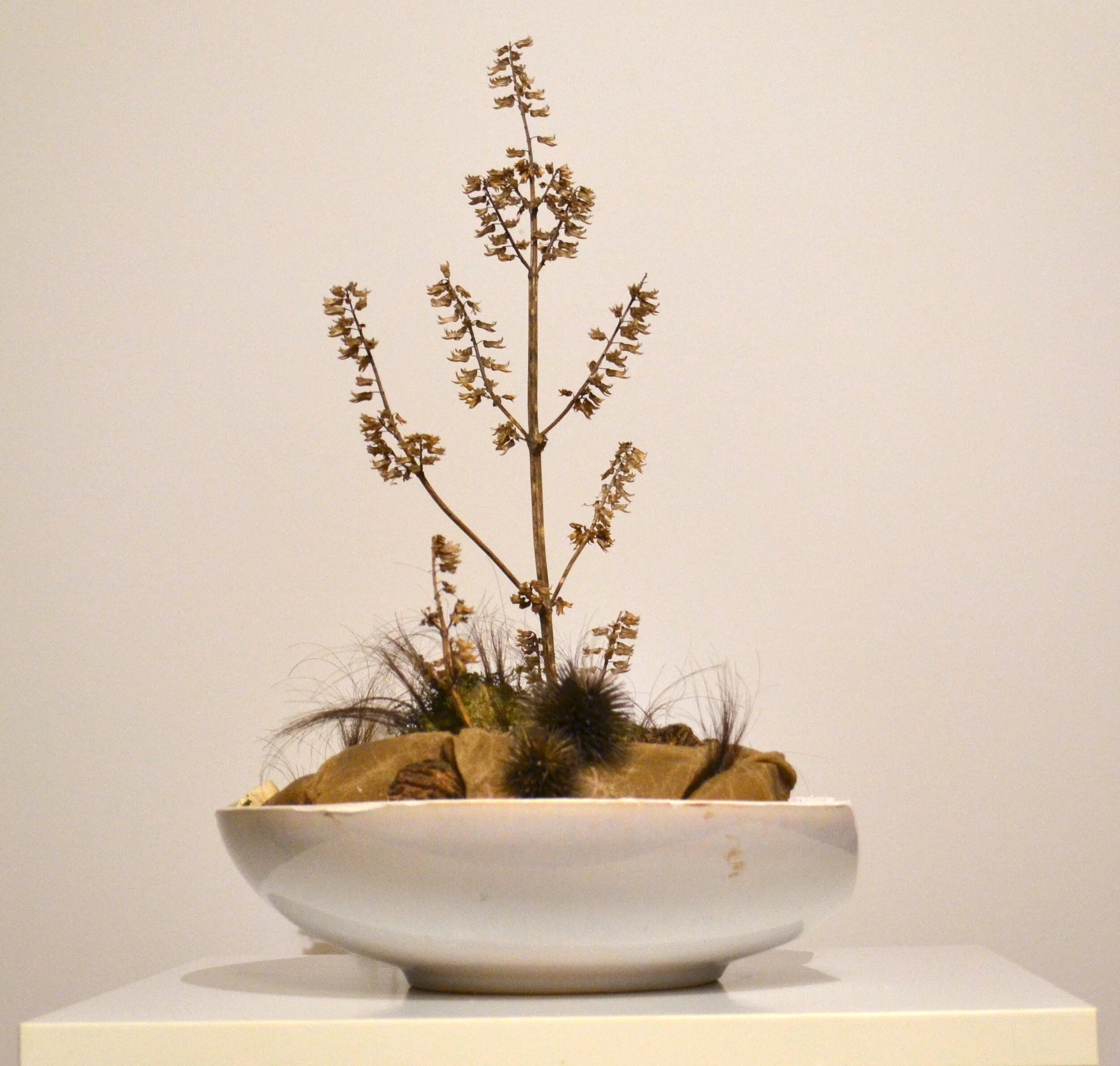 Secondary Cultivations part two