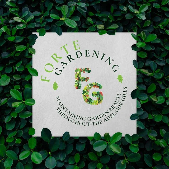 Dazzling colours, seductive scents and superb seasonal shows...Kent’s gardens are world-famous. Did you know the Adelaide Hills has it's own Kentish gardener? Not too long ago Guy from Forte Gardening packed his bags and moved to the Adelaide Hills. Here is part of the visual identity I recently created for him.
.
.
.
#kohesion #graphicdesign #visualidentity #adelaidehills #southaustralia #gardening #kent #uk