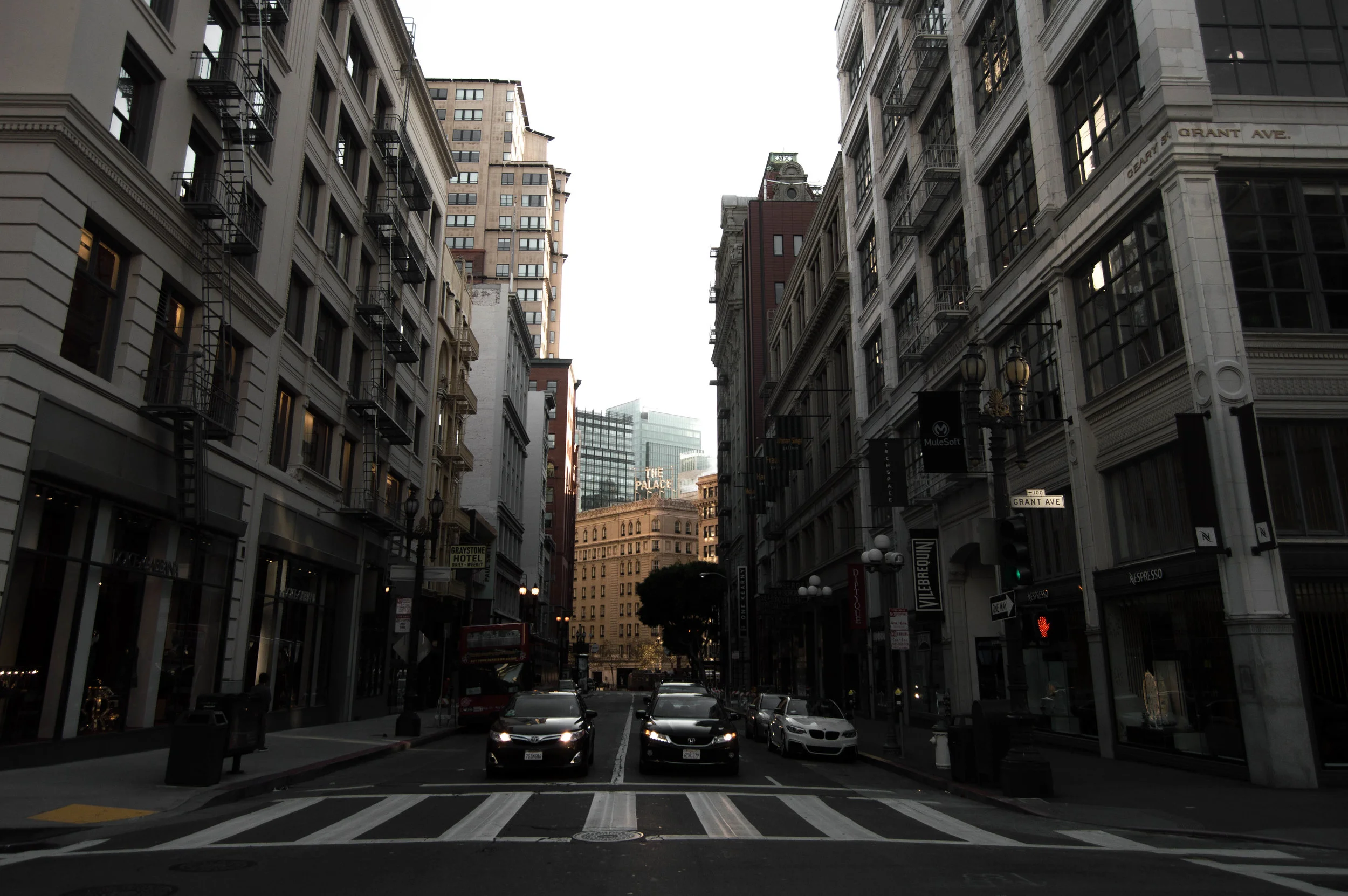 DSC_0555-2.jpg