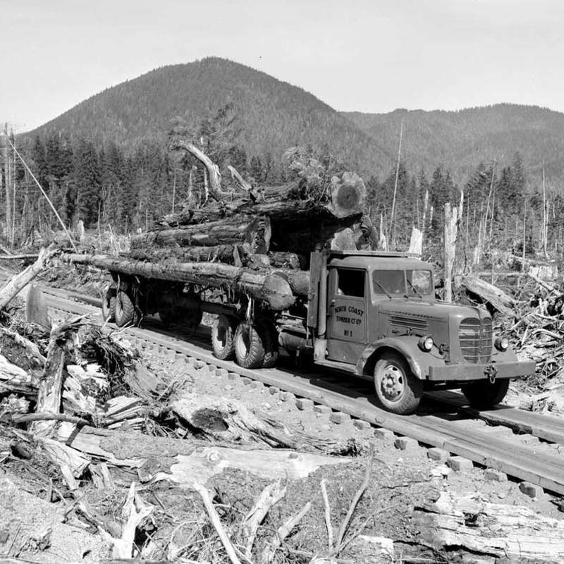 OLD_logging.jpg