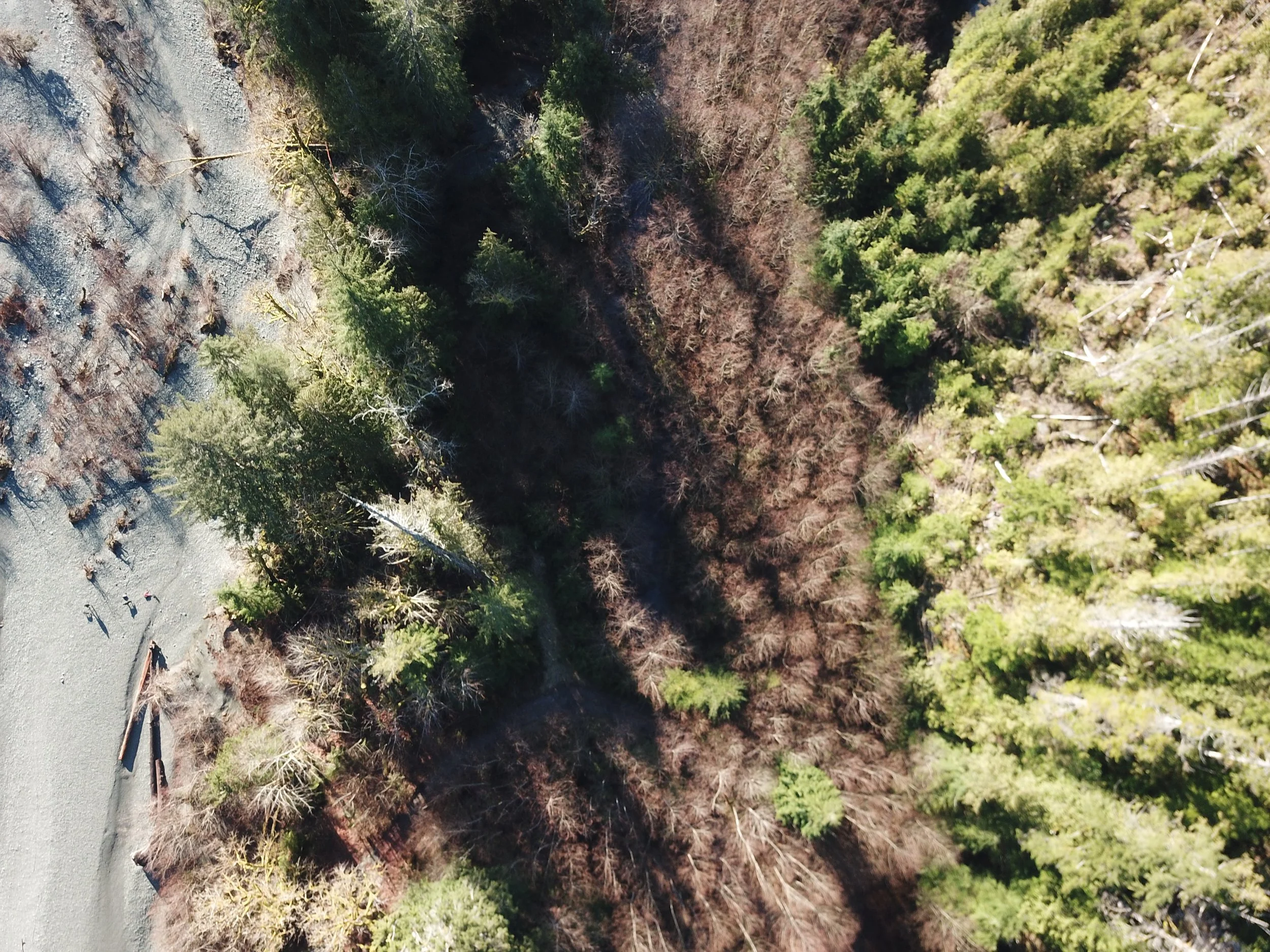 Tla-o-qui-aht First Nation partnership on restoration project in the upper Kennedy watershed