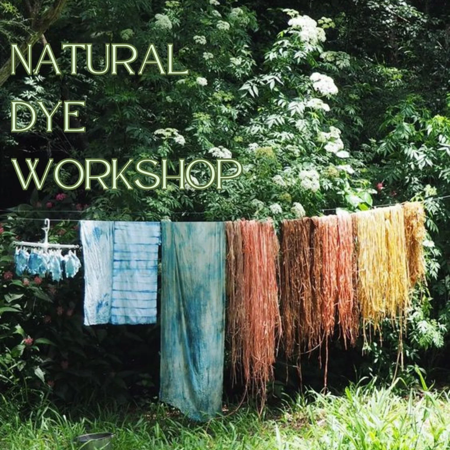 Natural Dye Workshop With Jme Holub