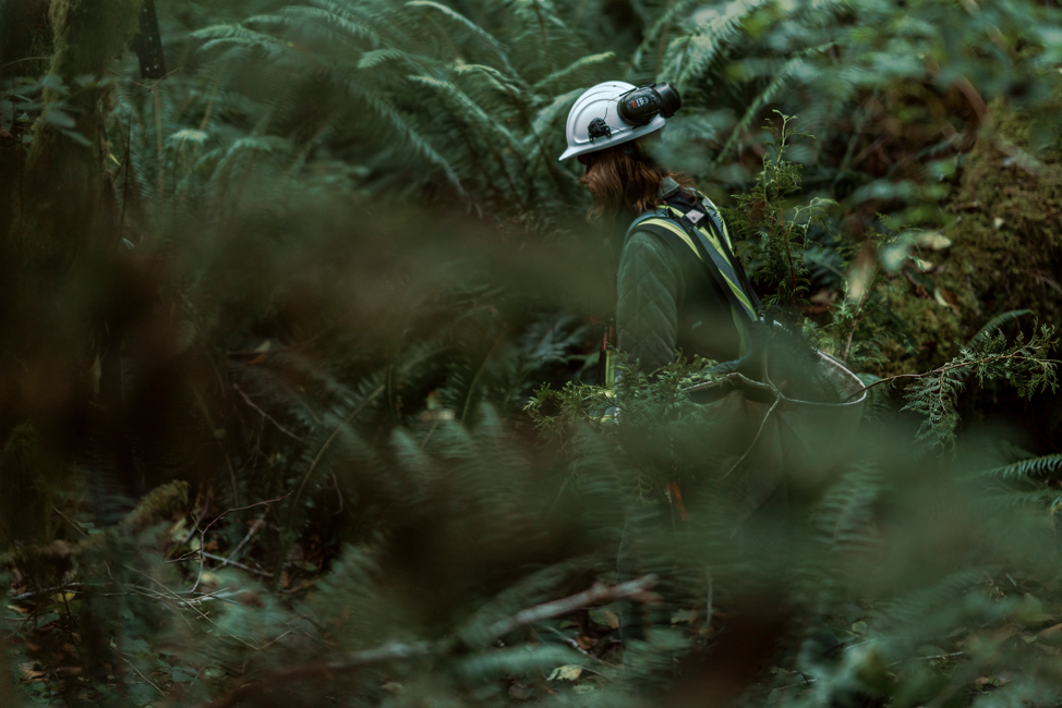 Screenshot 2024-10-08 115934.png