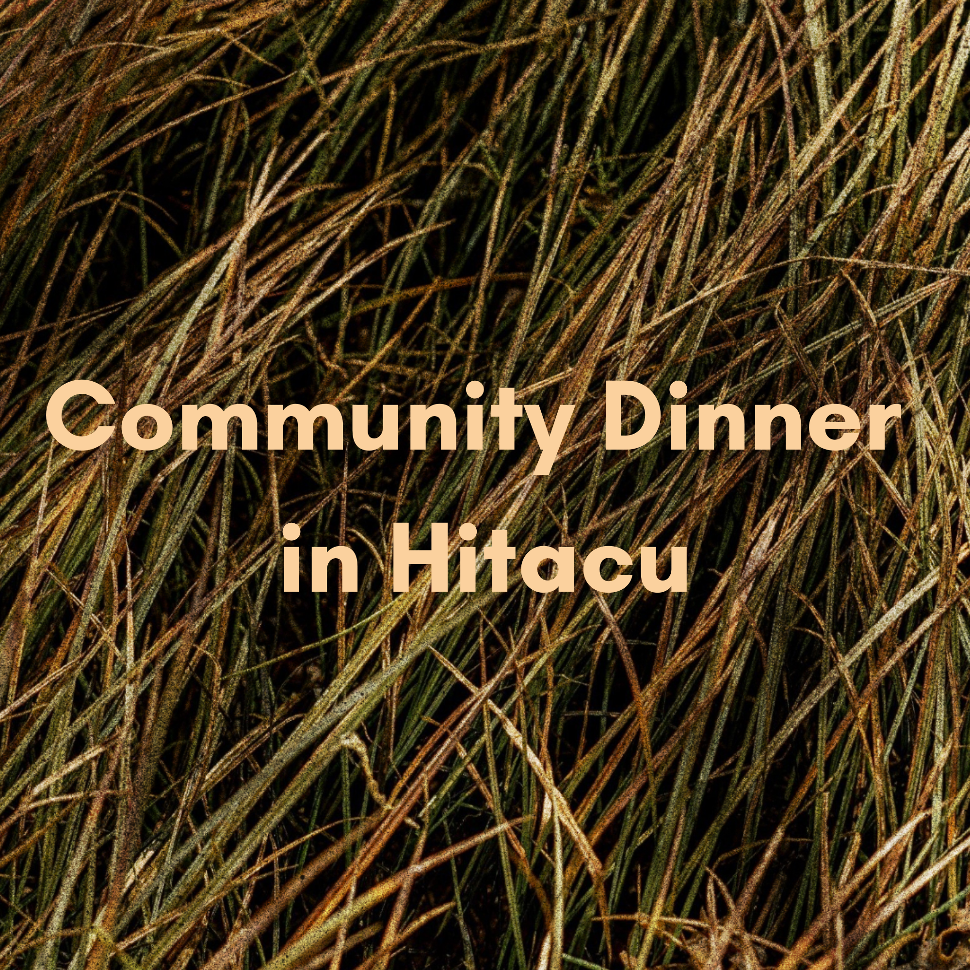 Community Dinner for YG Citizens