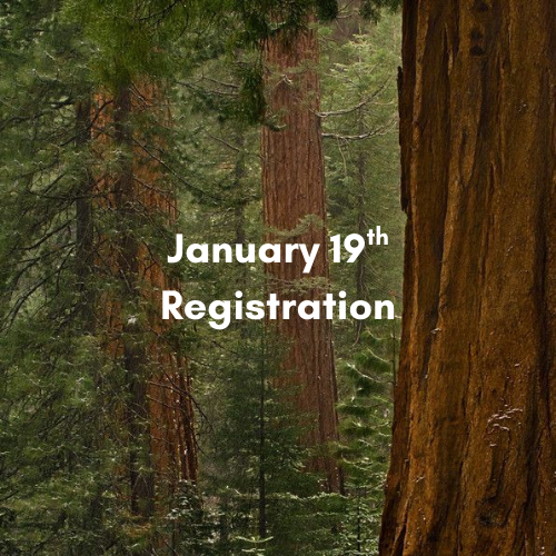 Pro-D Day Program: Forest Themed!