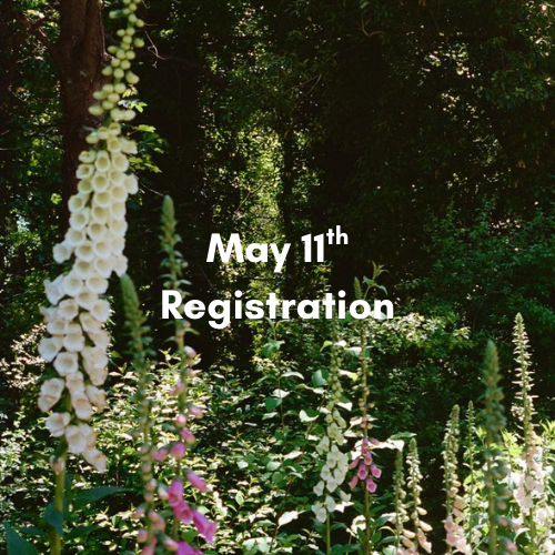 Pro-D Day Programs: Native Flower themed!