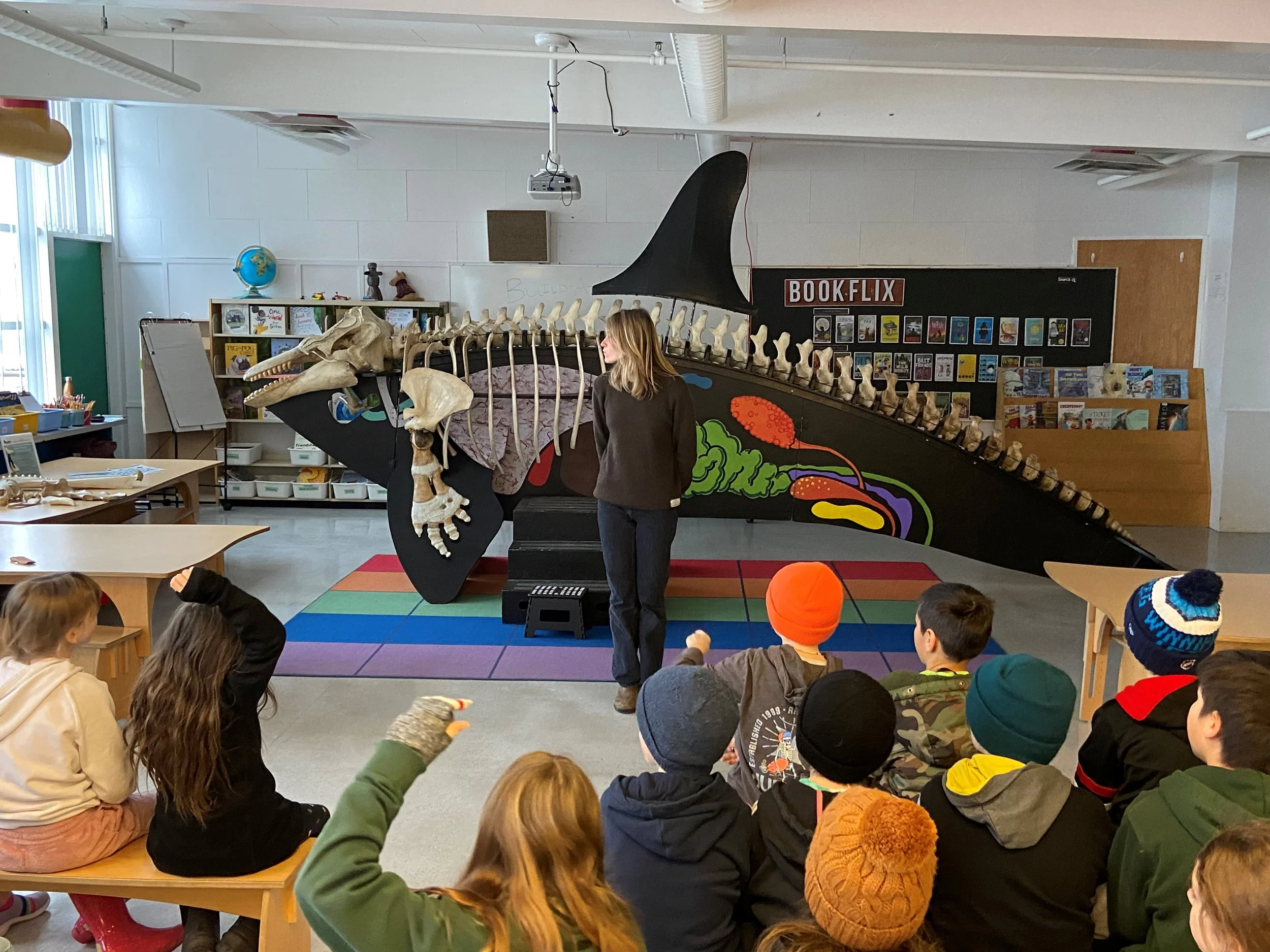 orca complete.  questions.jpg