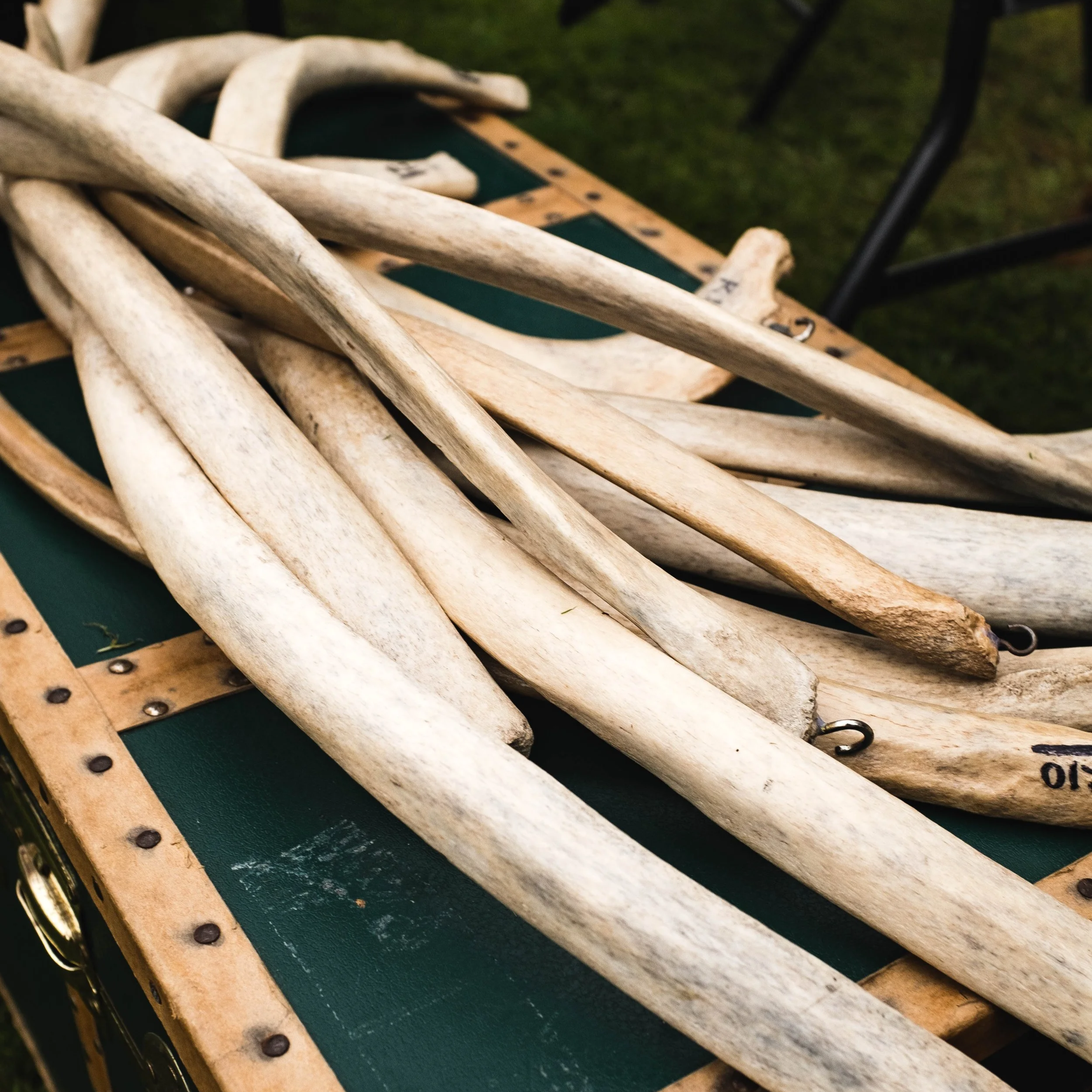 Maritime Kids Day- Ucluelet!