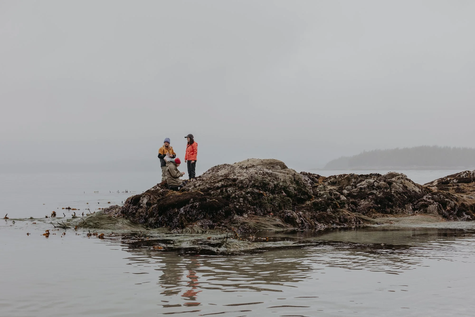 RFRS Seastar Survey 2024-5792.jpg