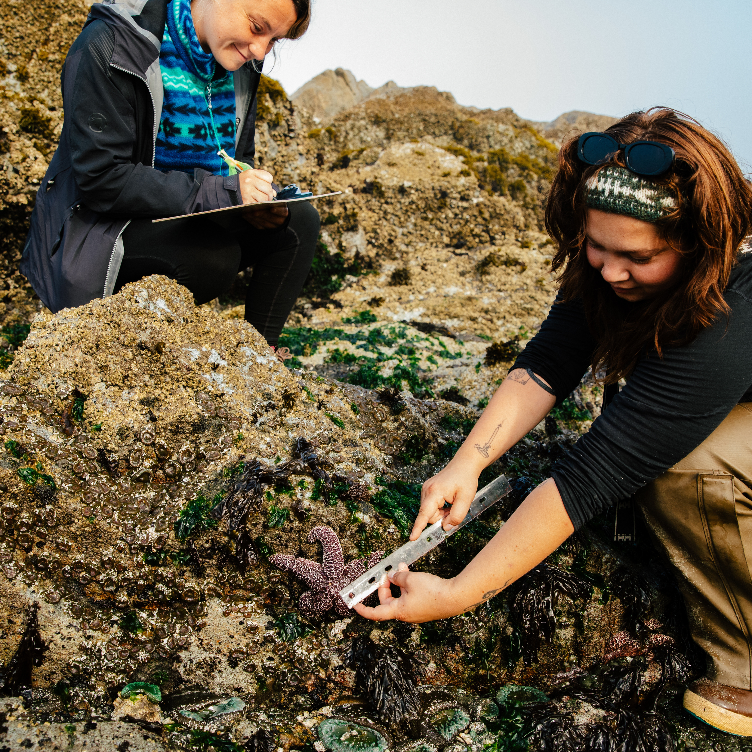 Untitled design (18).png