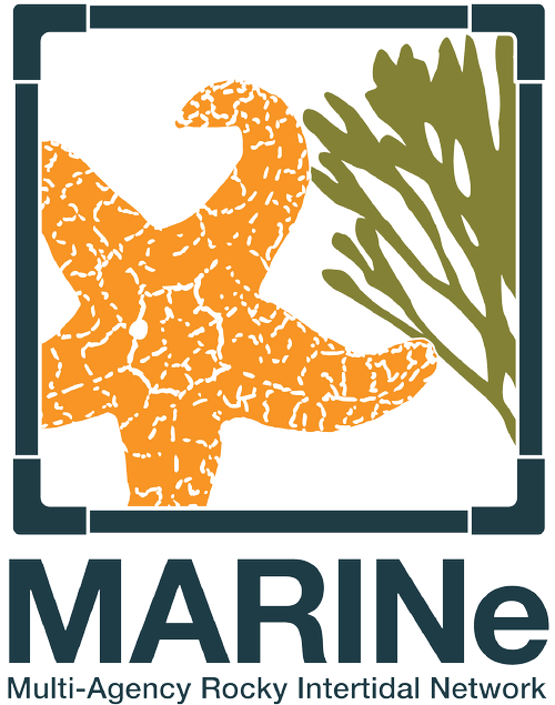 marine_logo_2020.webp