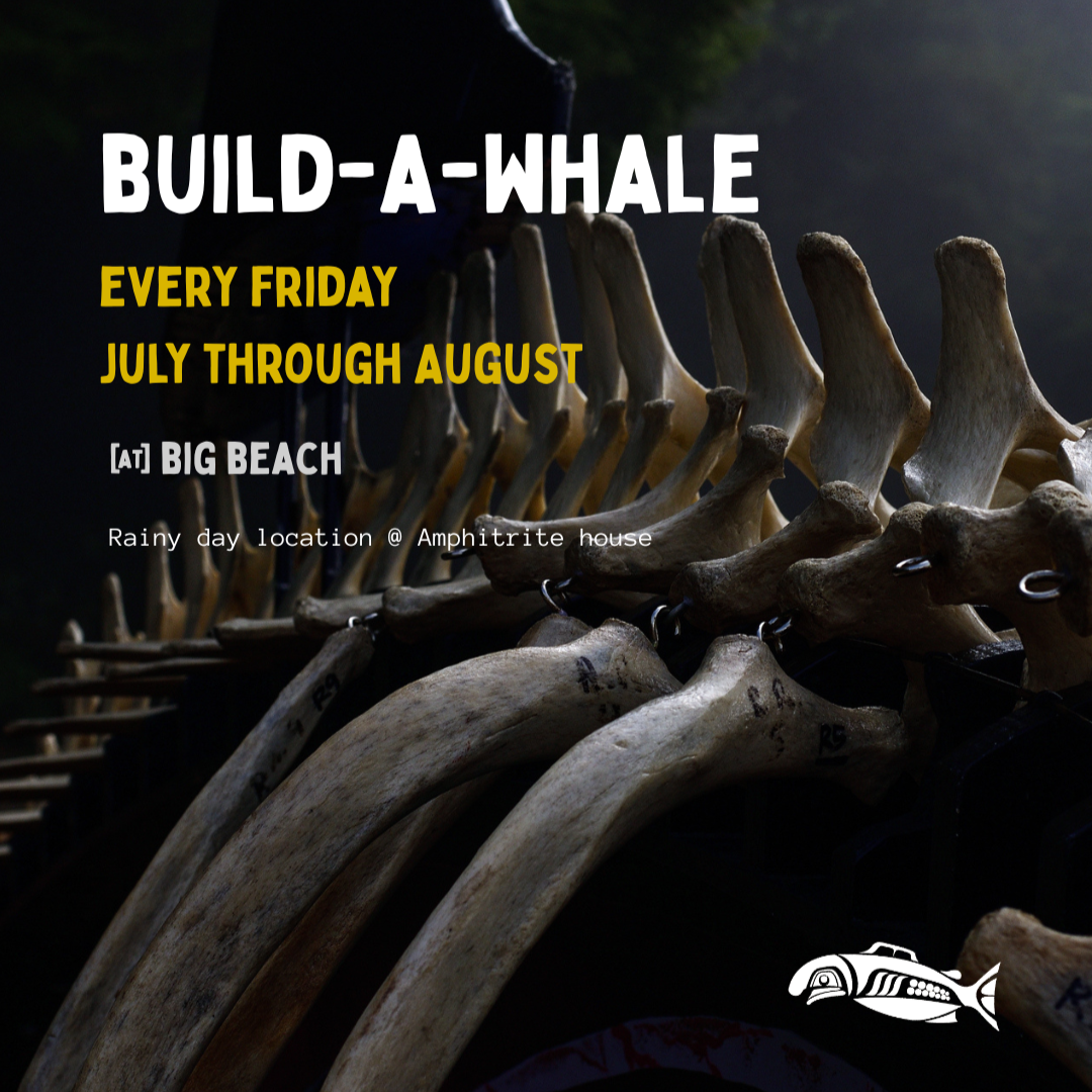 Build-A-Whale at the Beach
