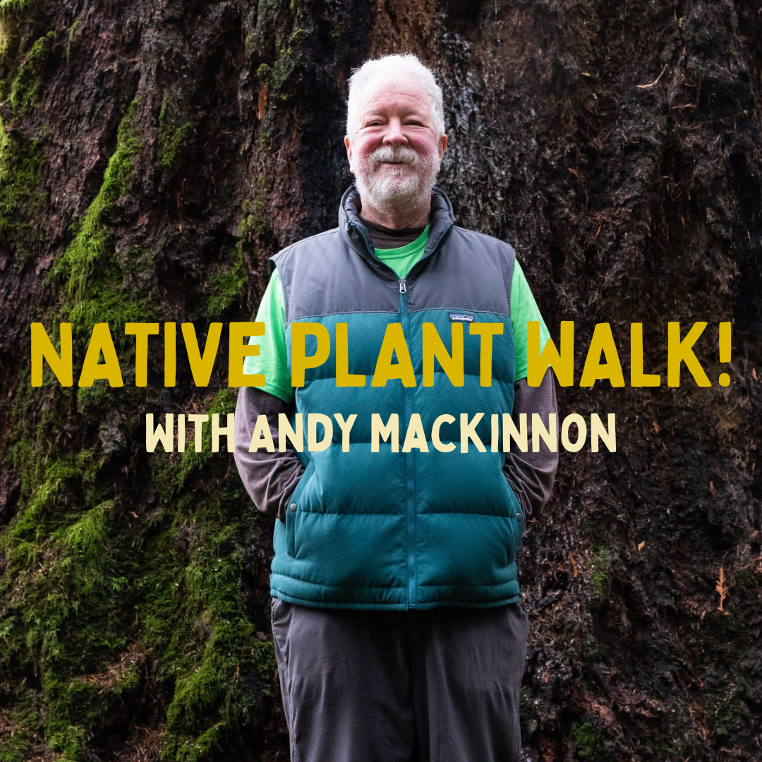 Plant Walk with Andy Mackinnon