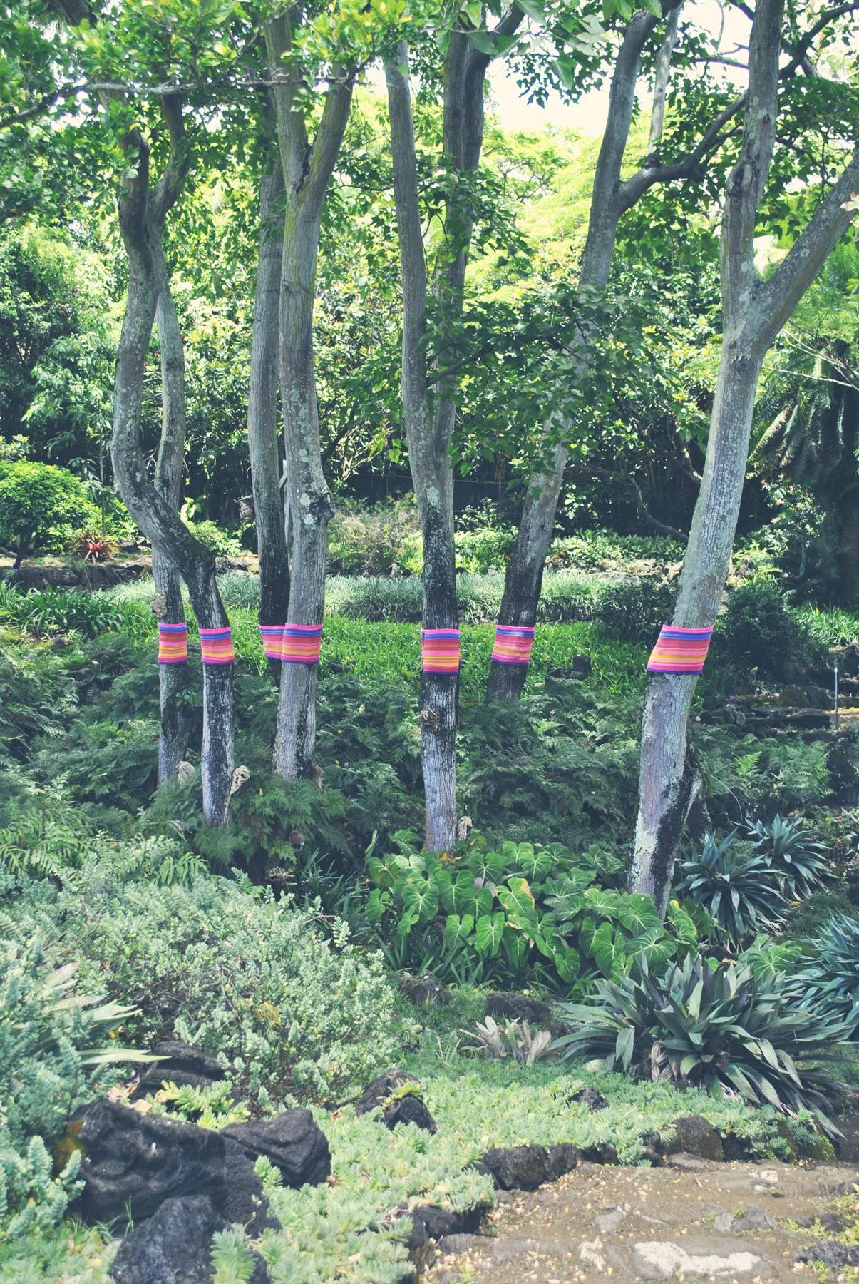grove9_full.jpg