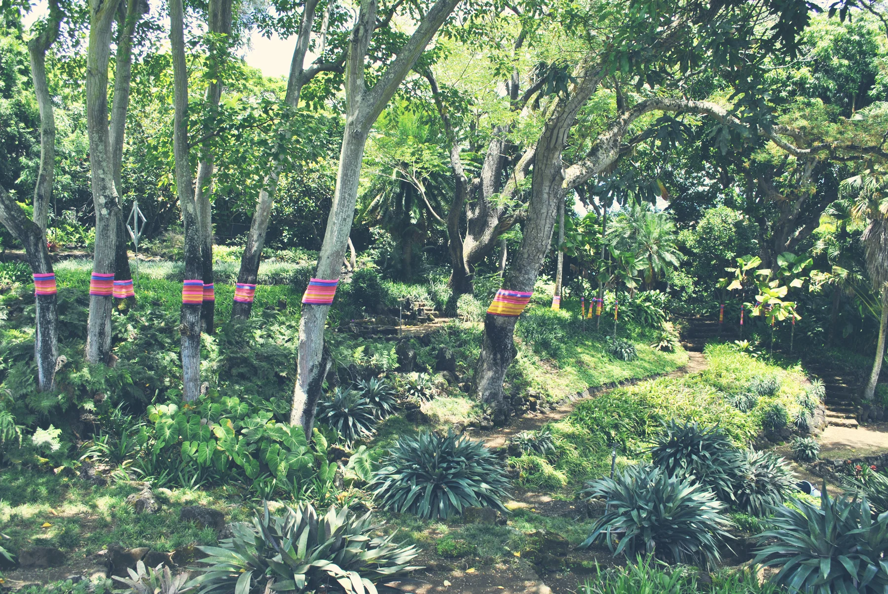 grove10_full.jpg