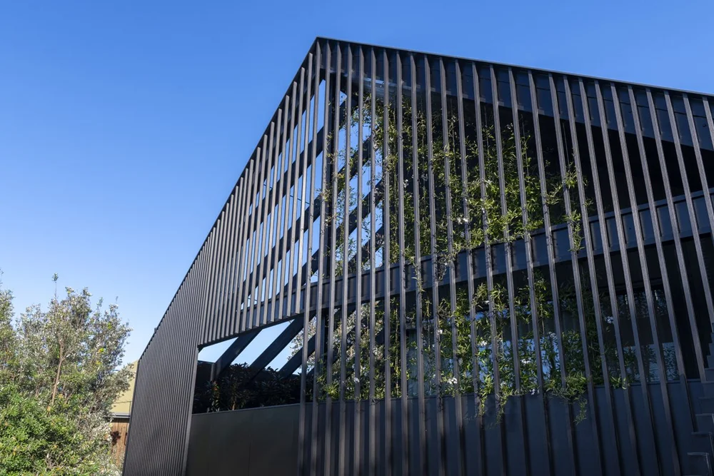 Sleek Silhouette for Smiths Beach Home