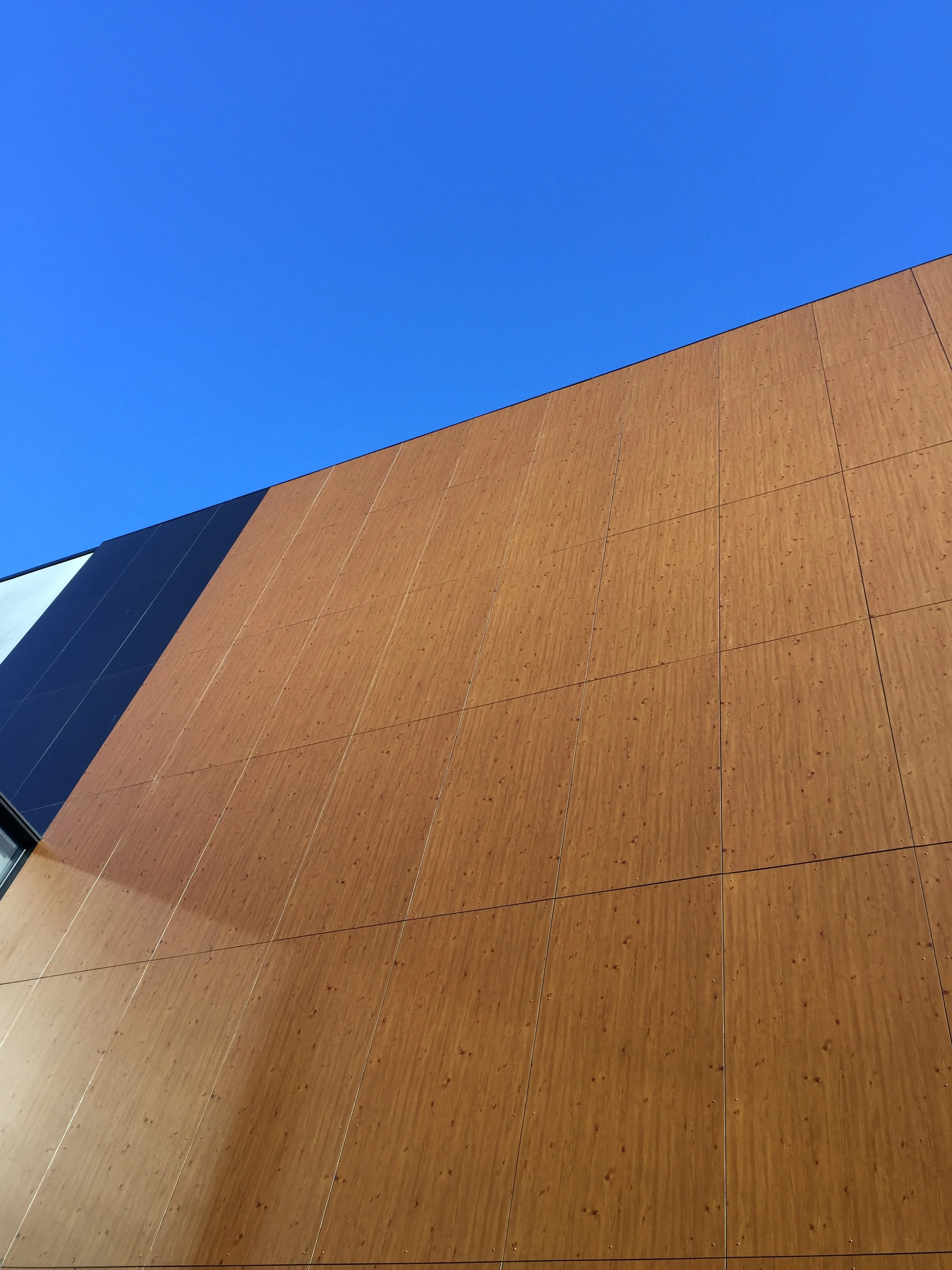 Moose Head Office - Cheltenham VIC