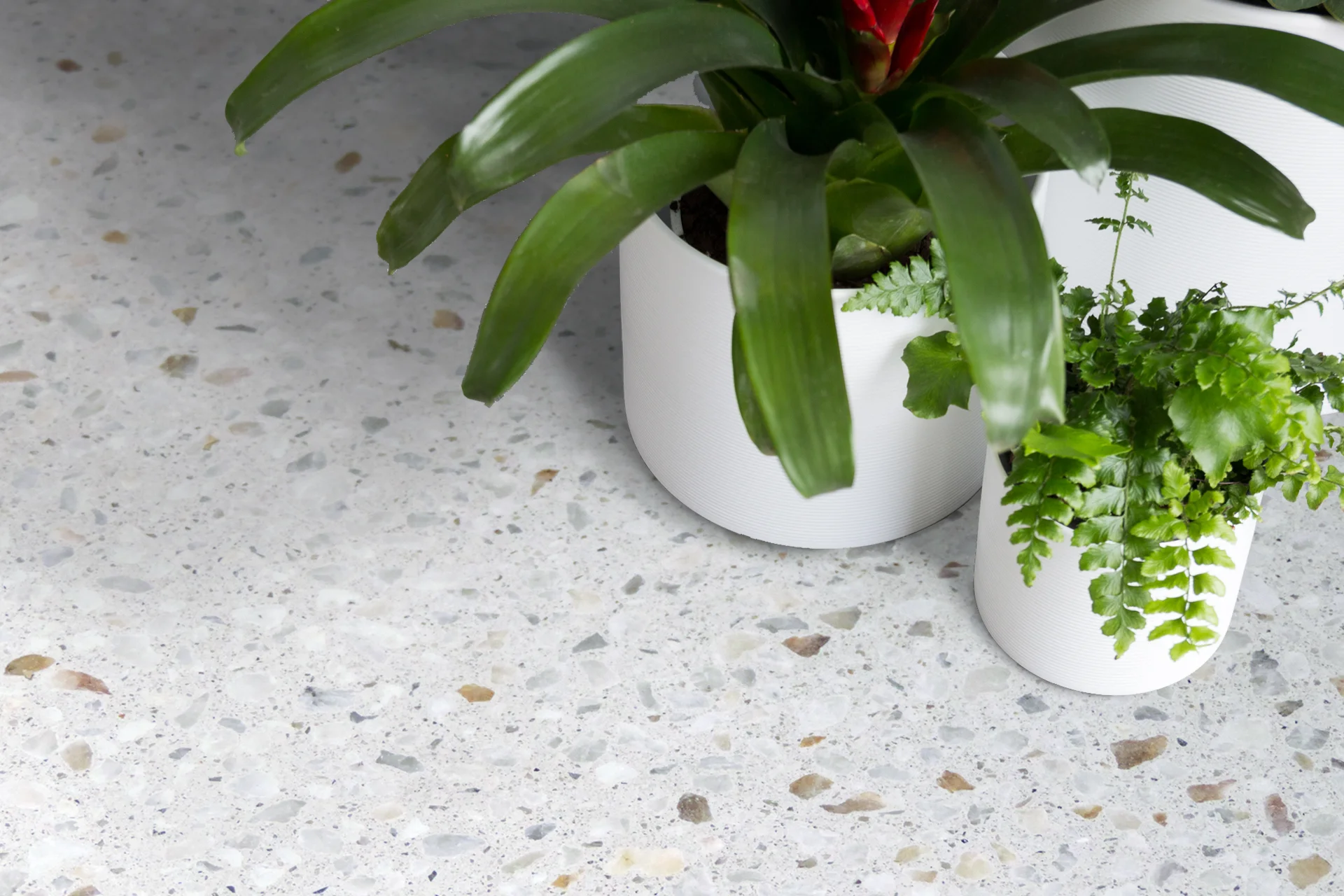 Exposed aggregate Terrazzo aesthetic