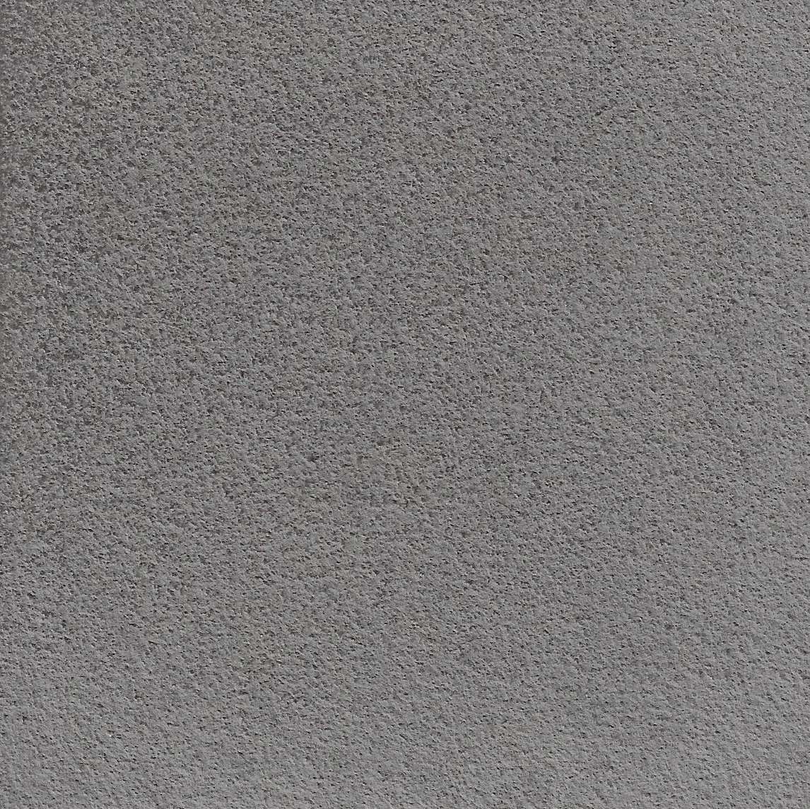 Textured Fossil