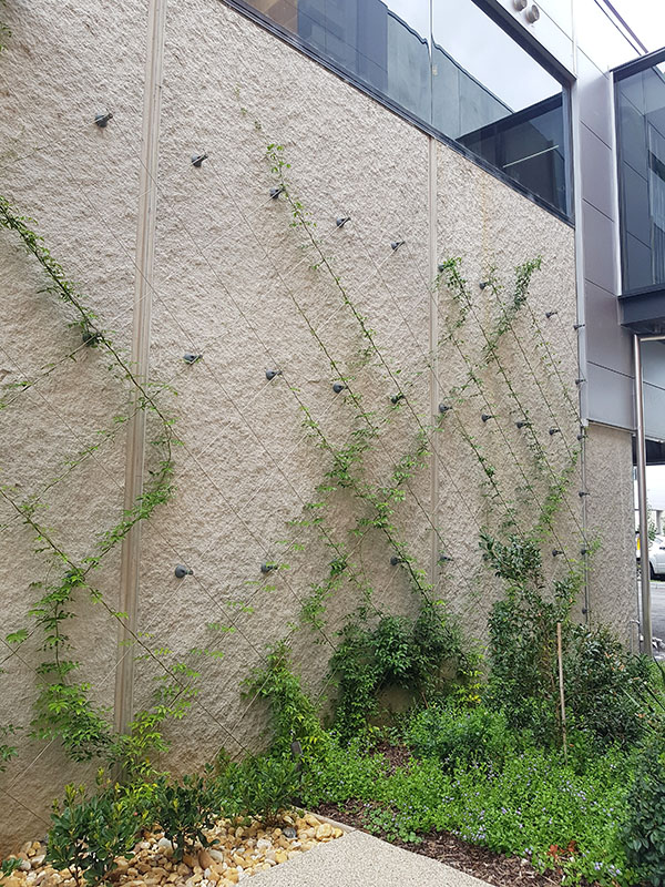 Easy green wall 9+mths+progress.jpg