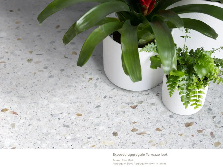 Exposed aggregate Terrazzo look