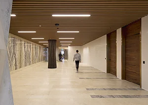 Suspended-ceiling-ever-art-wood.jpg